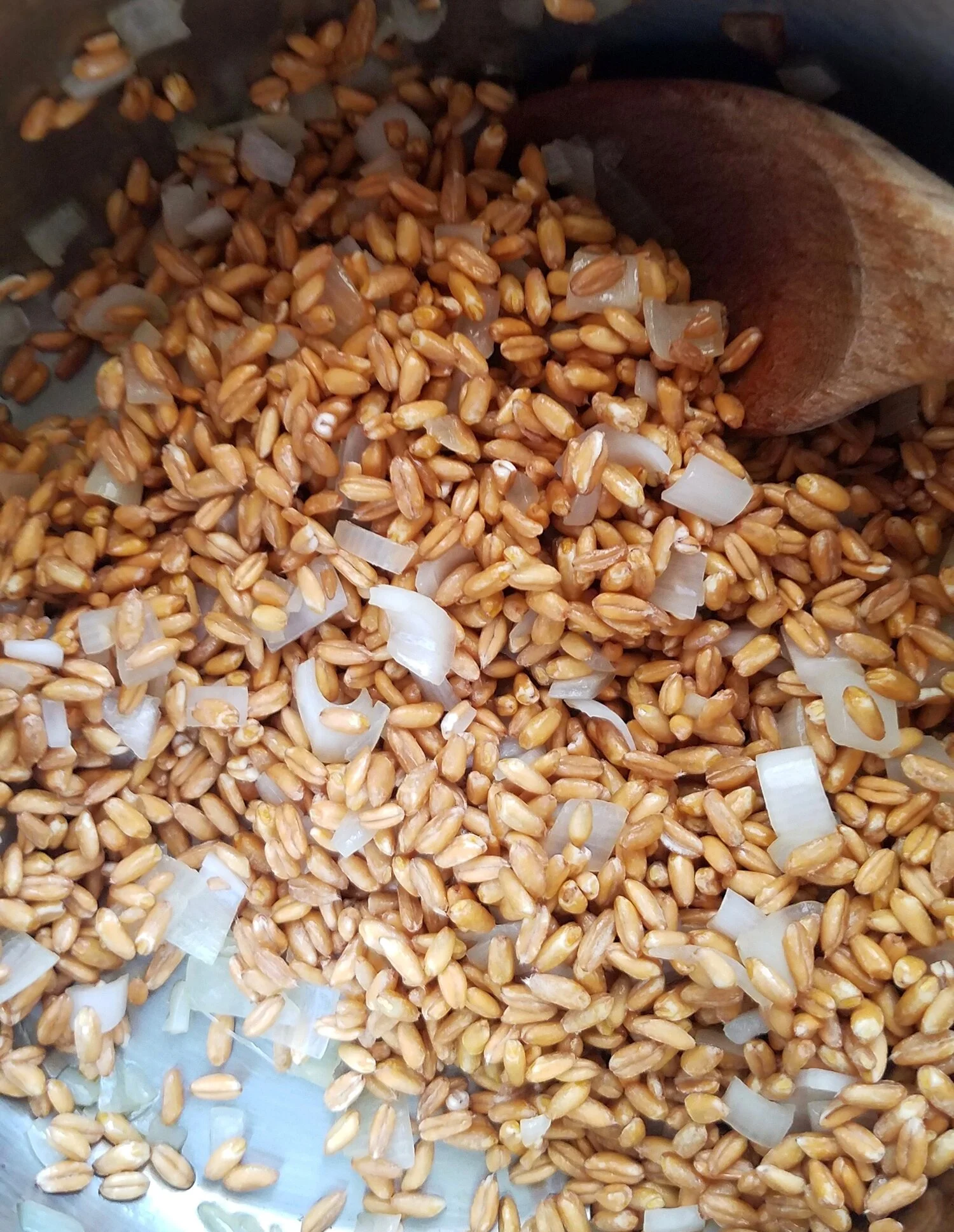 Roasted Carrots and Farro with Citrus, Ginger and Dill.jpeg