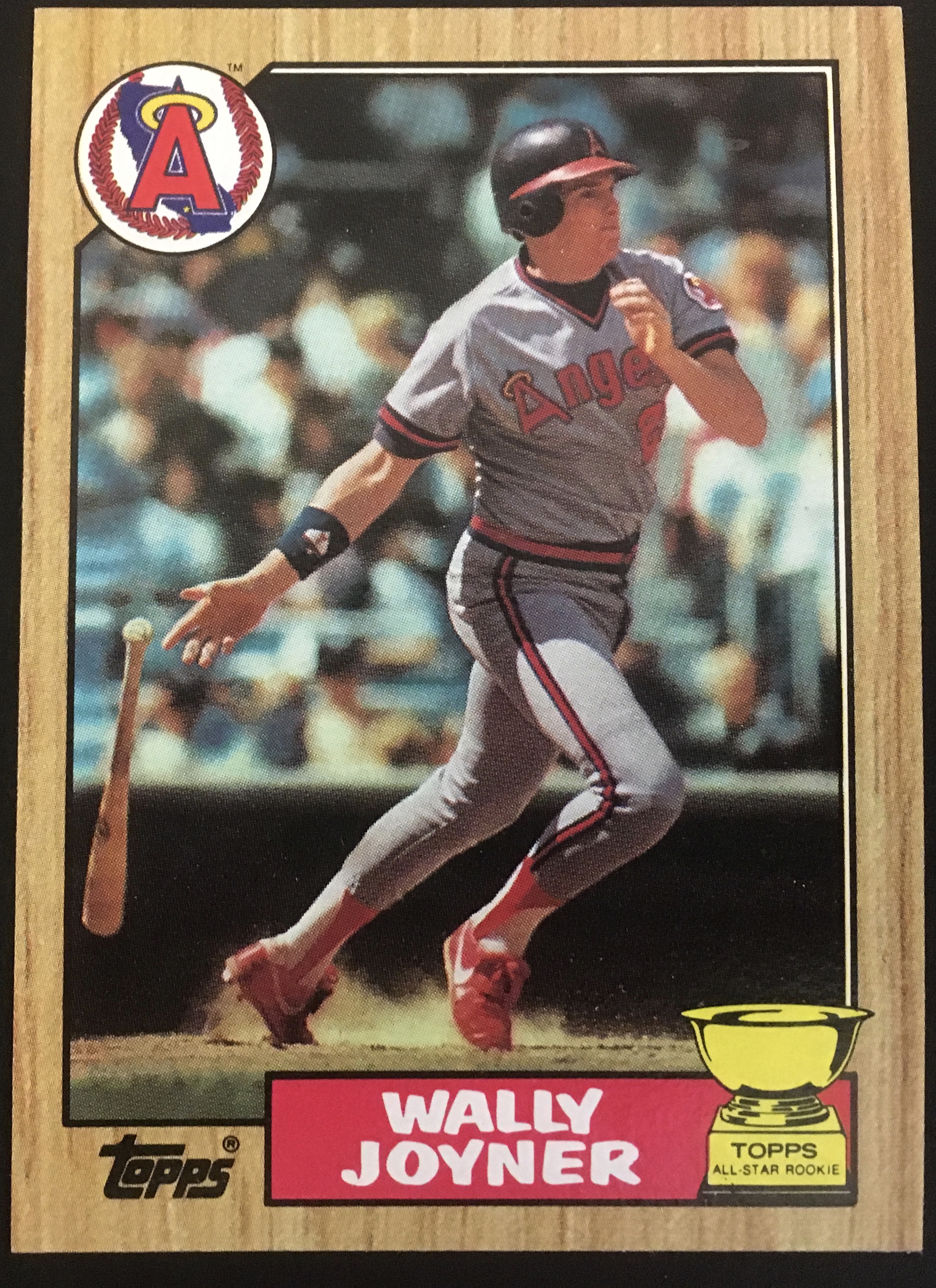 COLLATED OVER 25 YEARS AGO AND CHILLIN' 1987 FULL SET TOPPS 