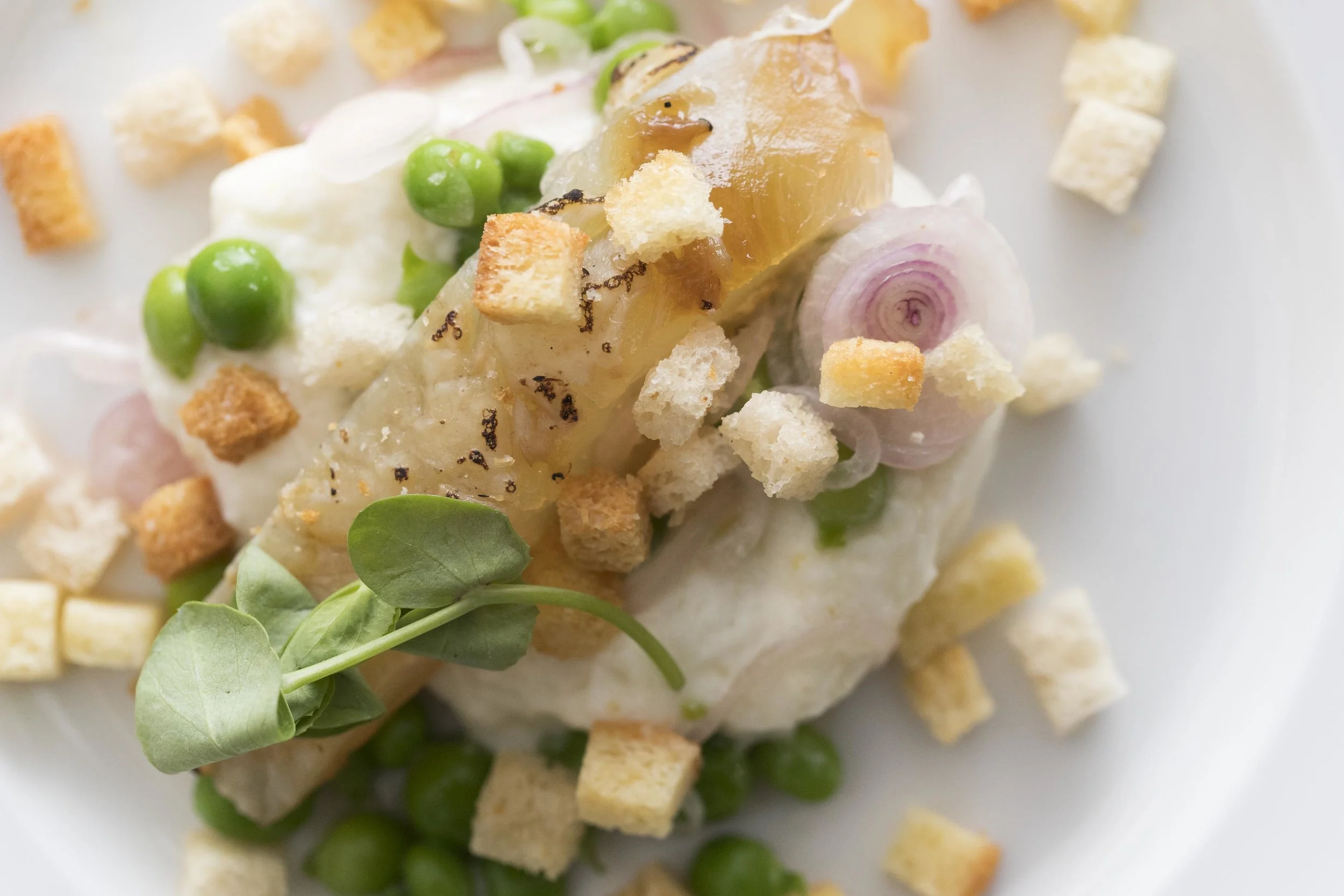 7111-Farallon GreatChefs-180421.jpg
