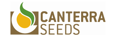 canterra-seeds-sunset-ventures-seed.png