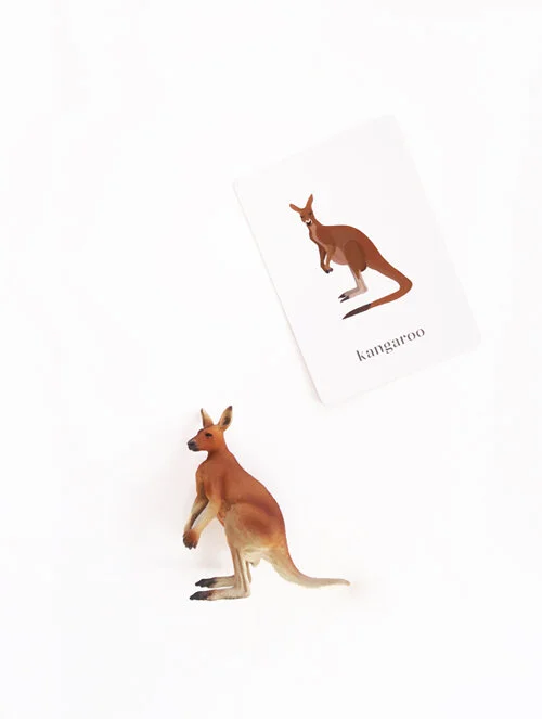 The Australian Edition