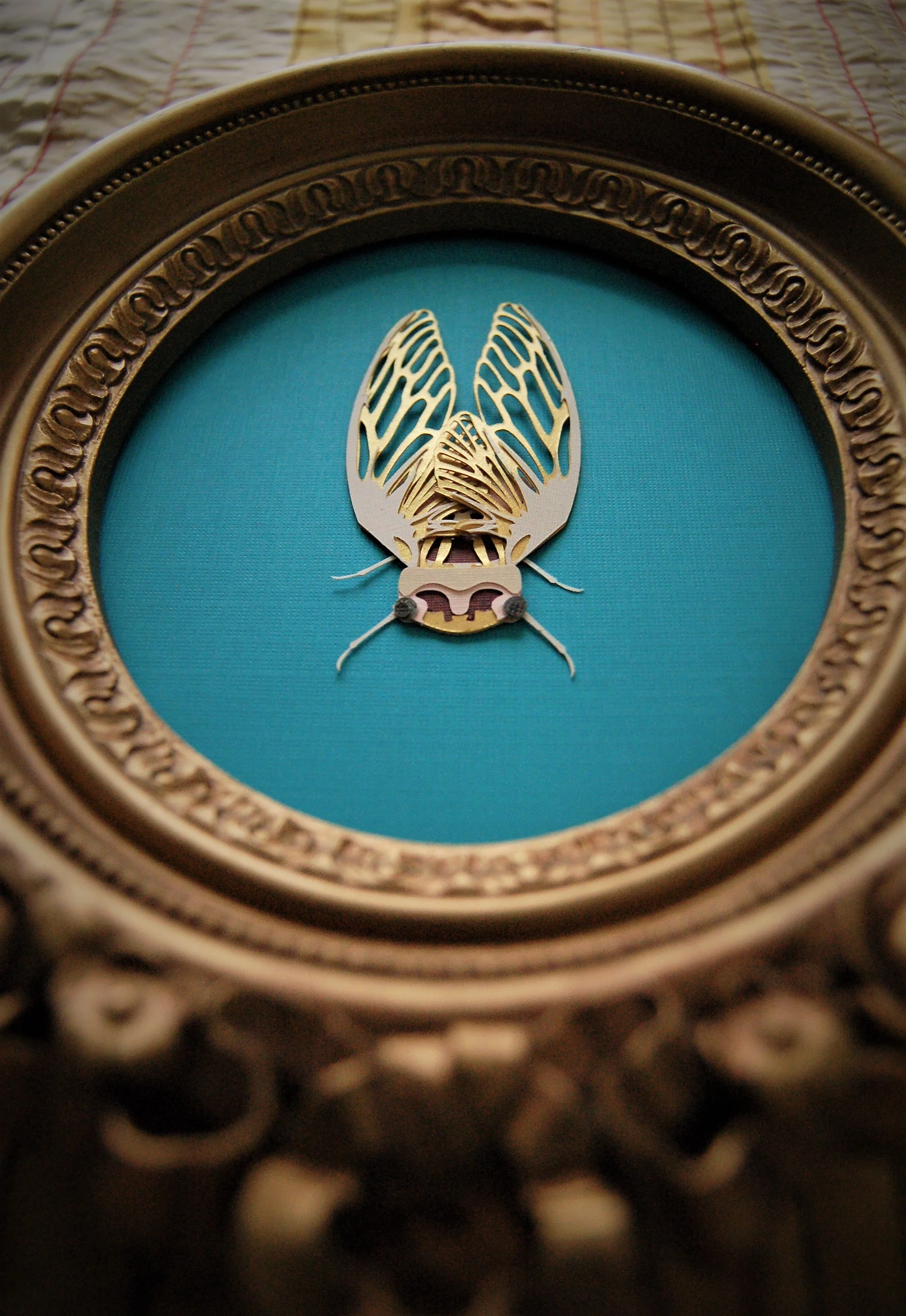cicada8.jpg