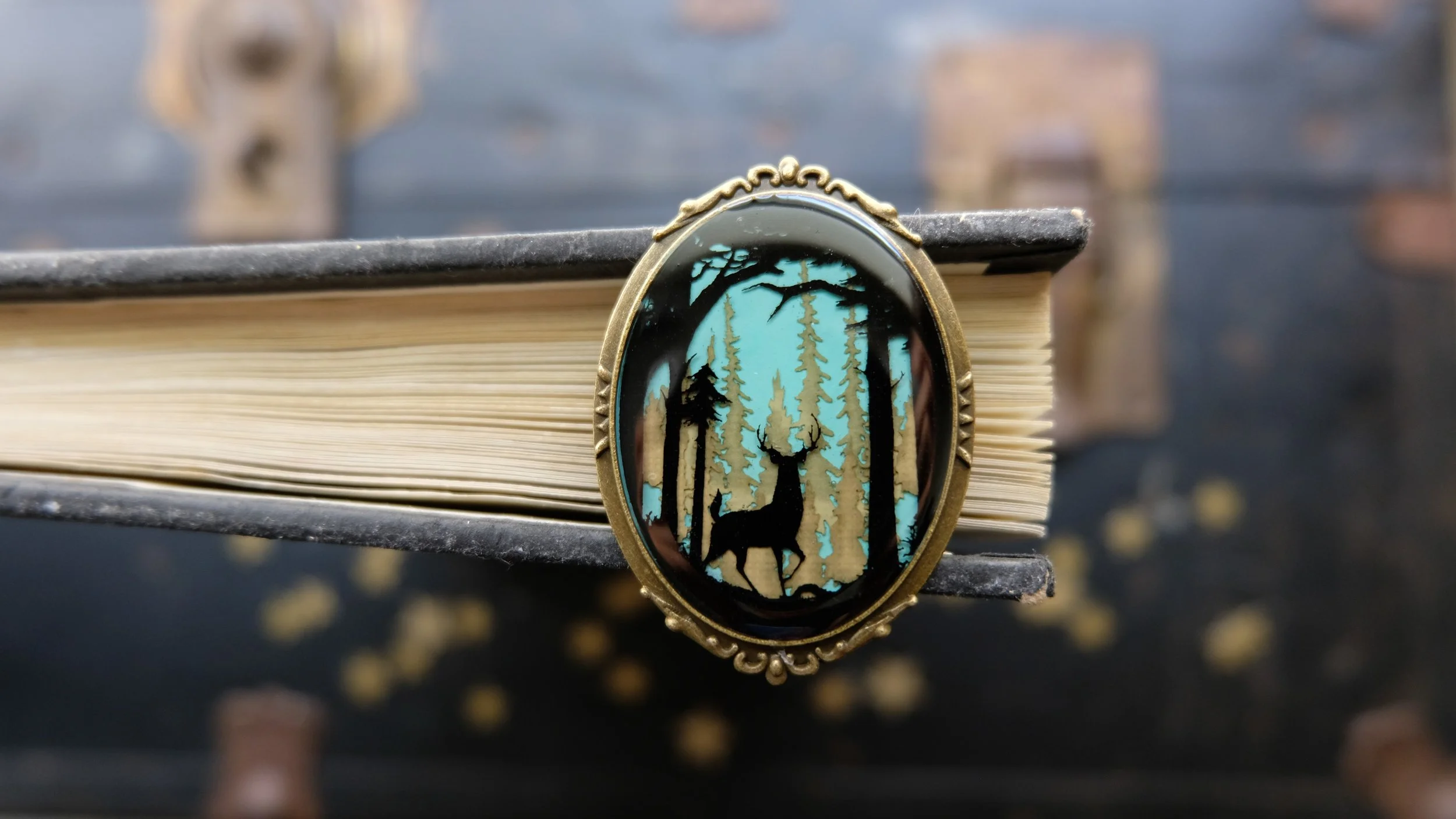 hp pin pic8.jpg