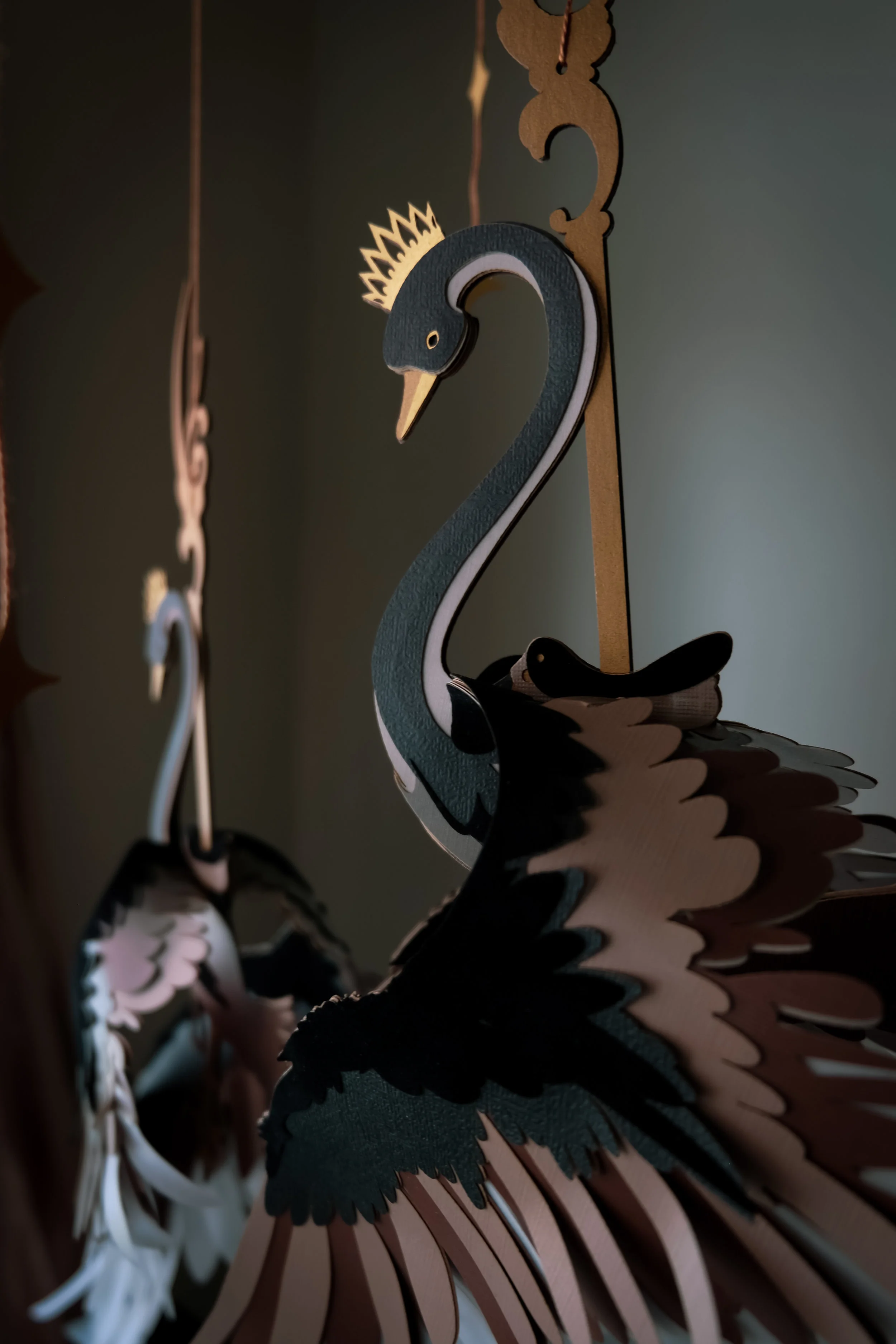 swan10-2.jpg