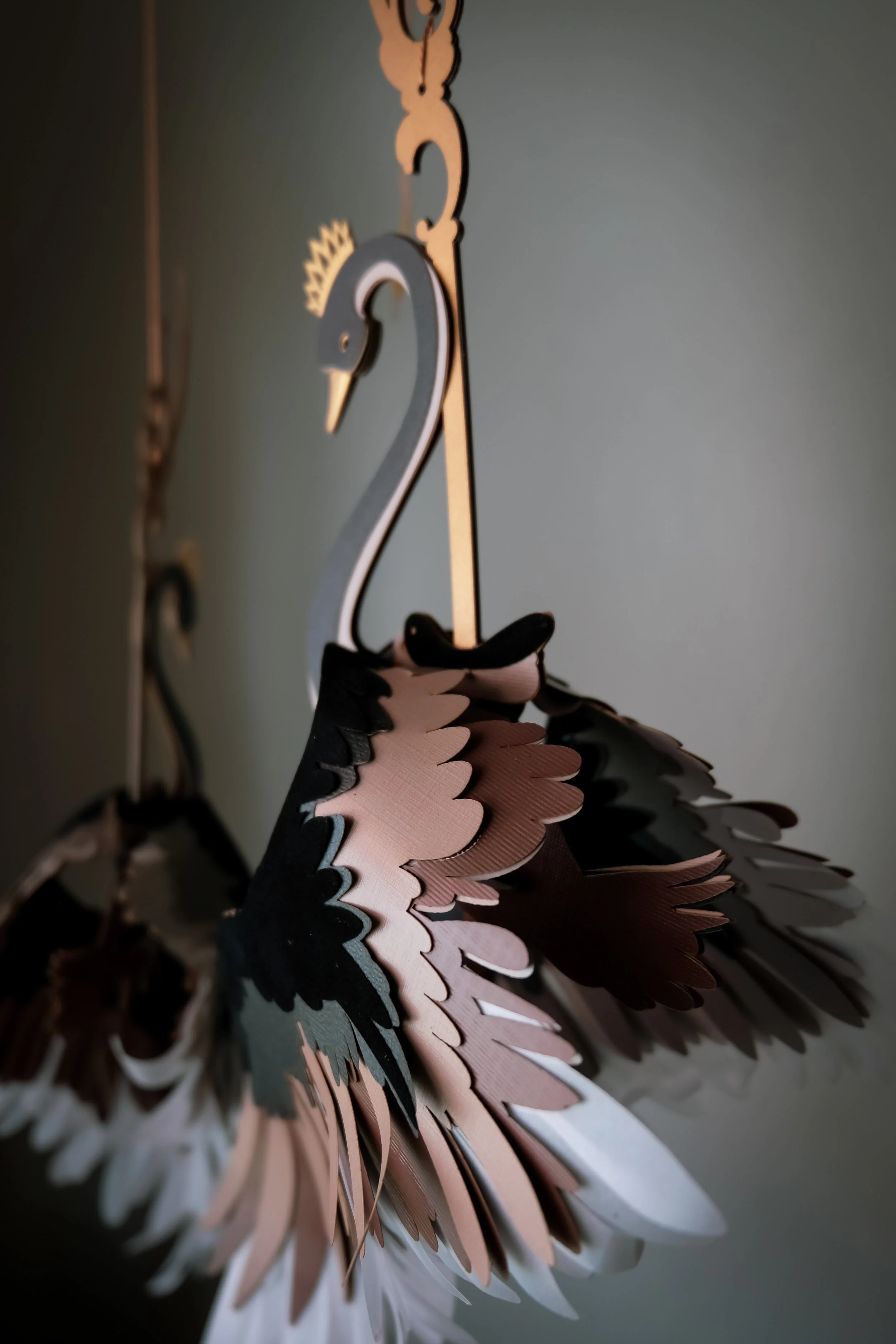 swan9-2.jpg