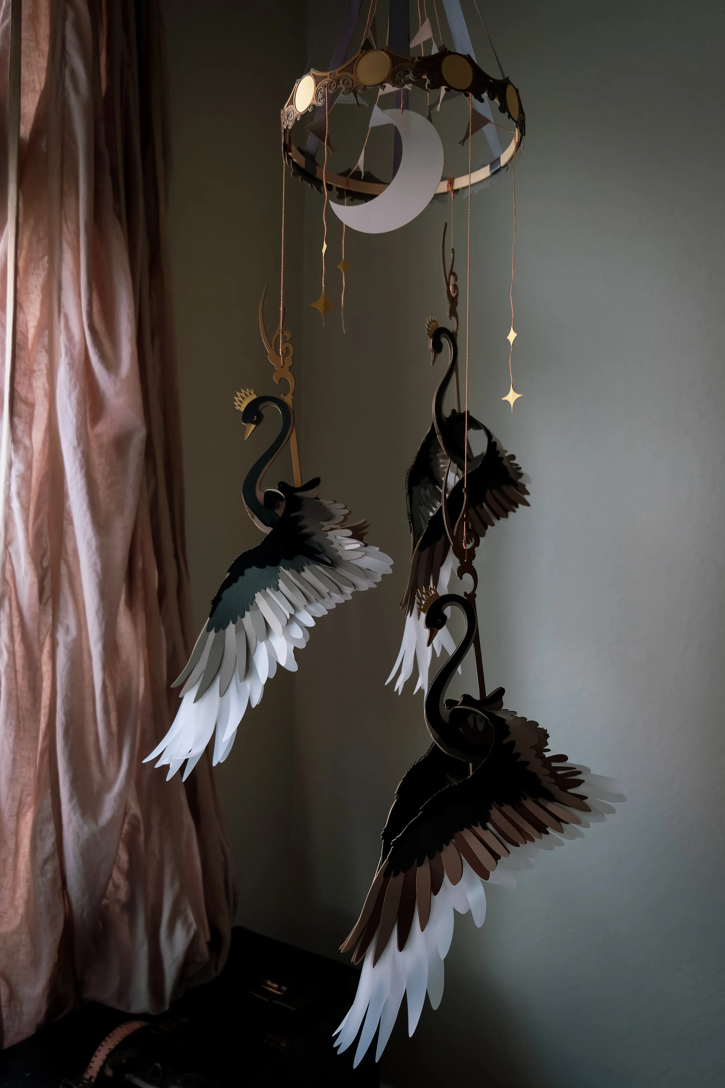 swan1-2.jpg
