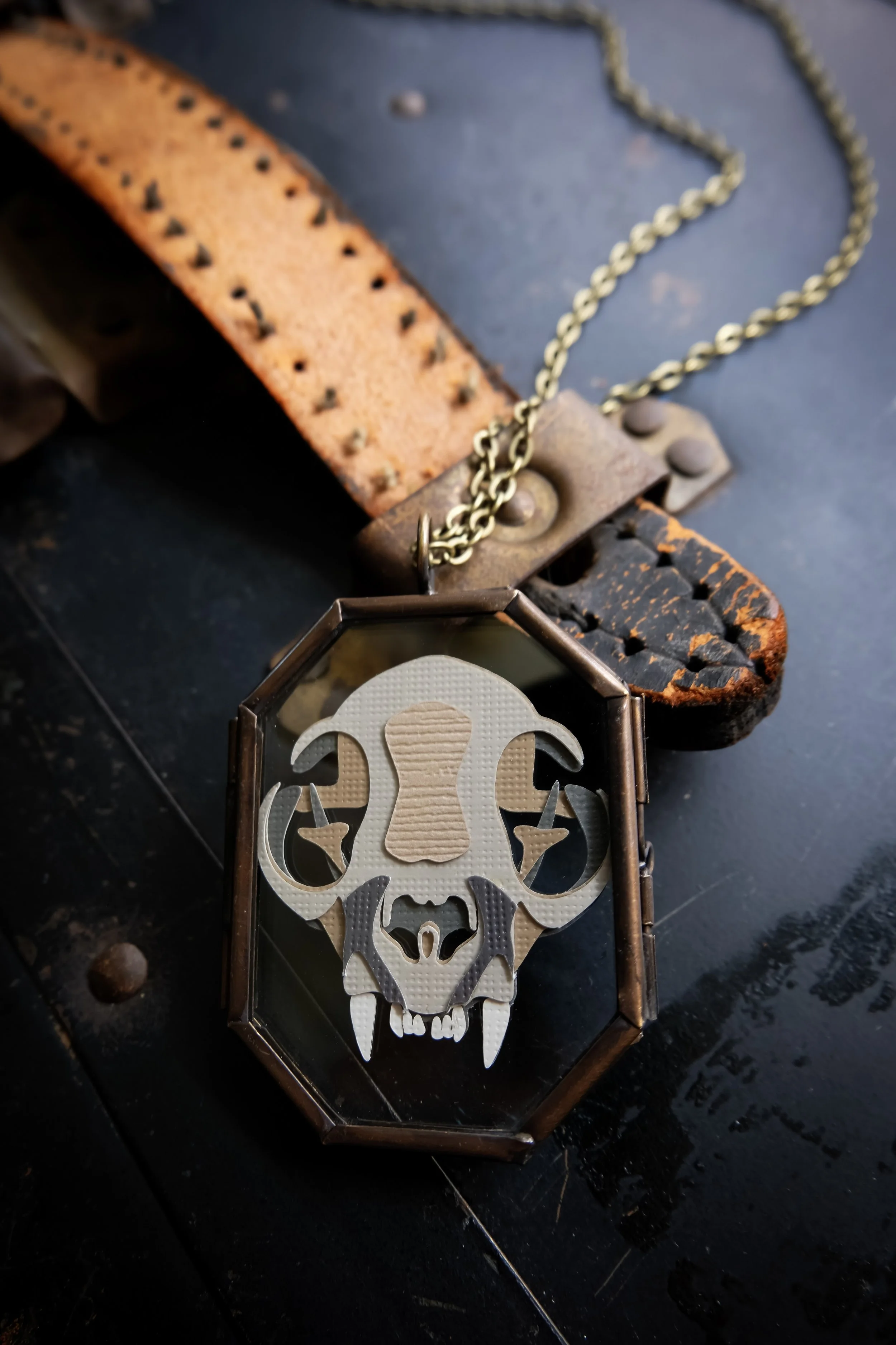 cat skull2-2.jpg
