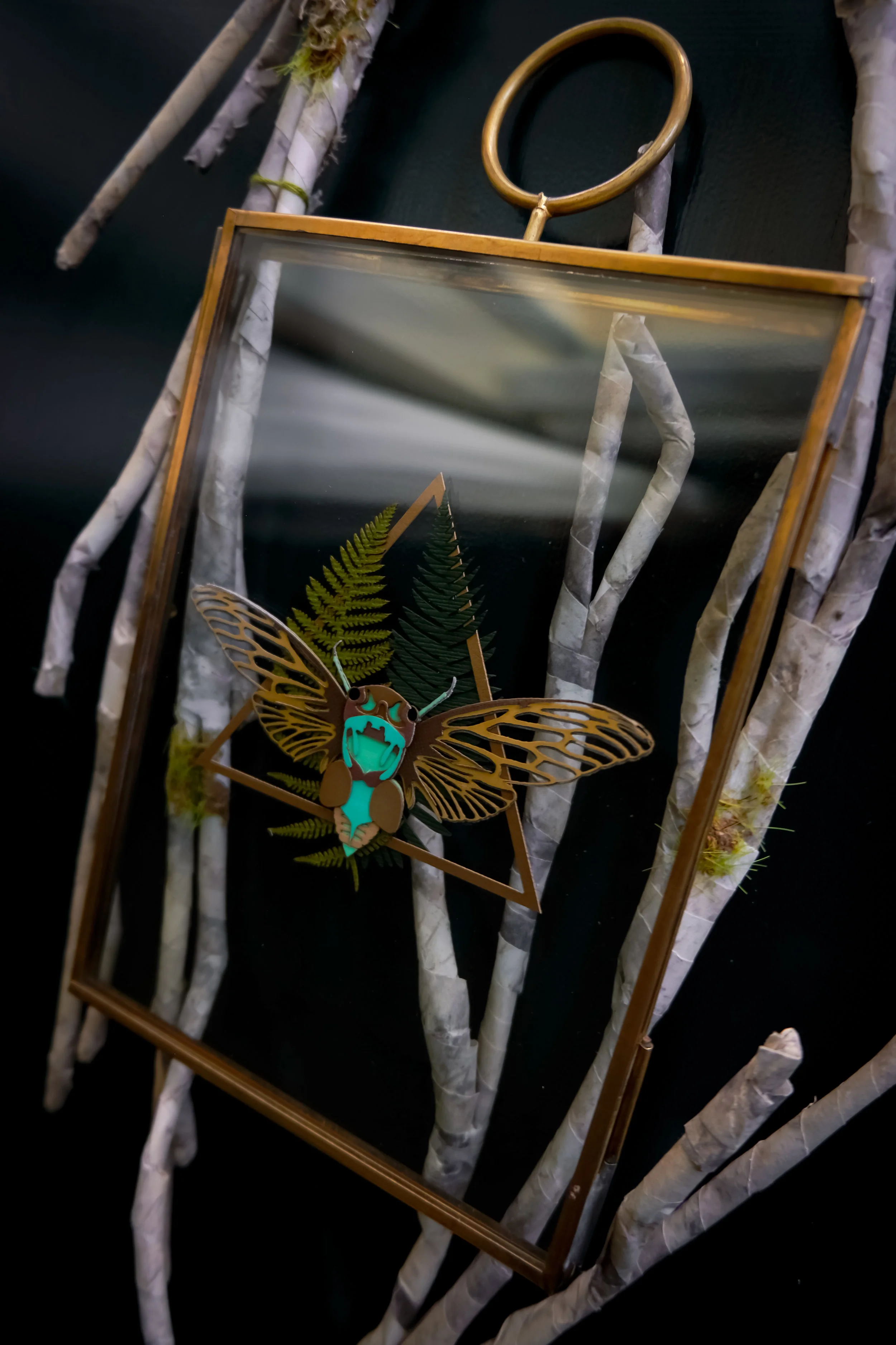 cicada framed14-3.jpg