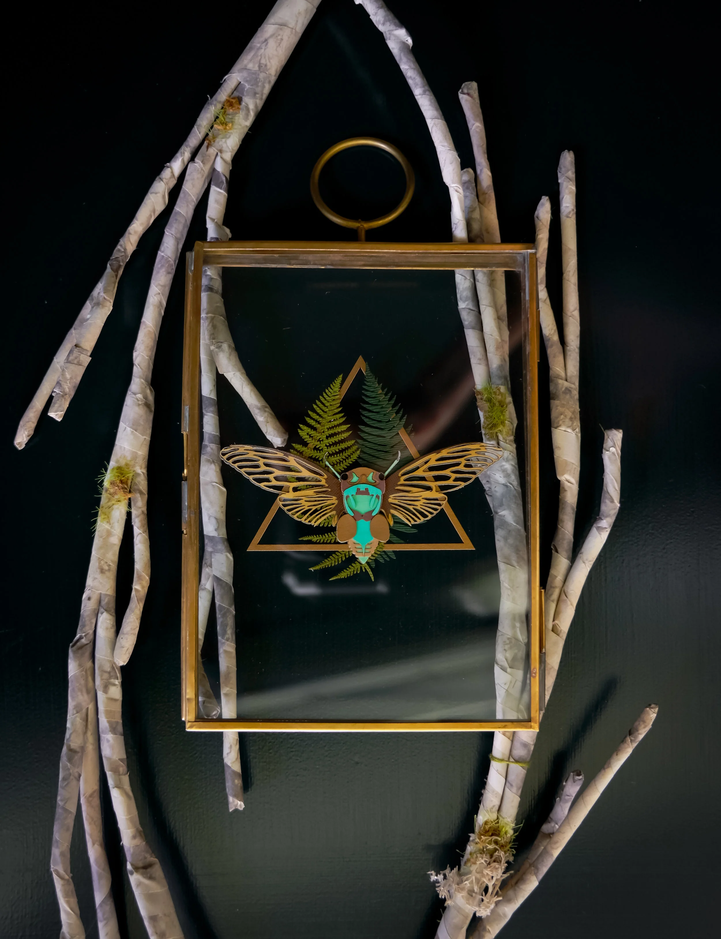 cicada frame5-3.jpg