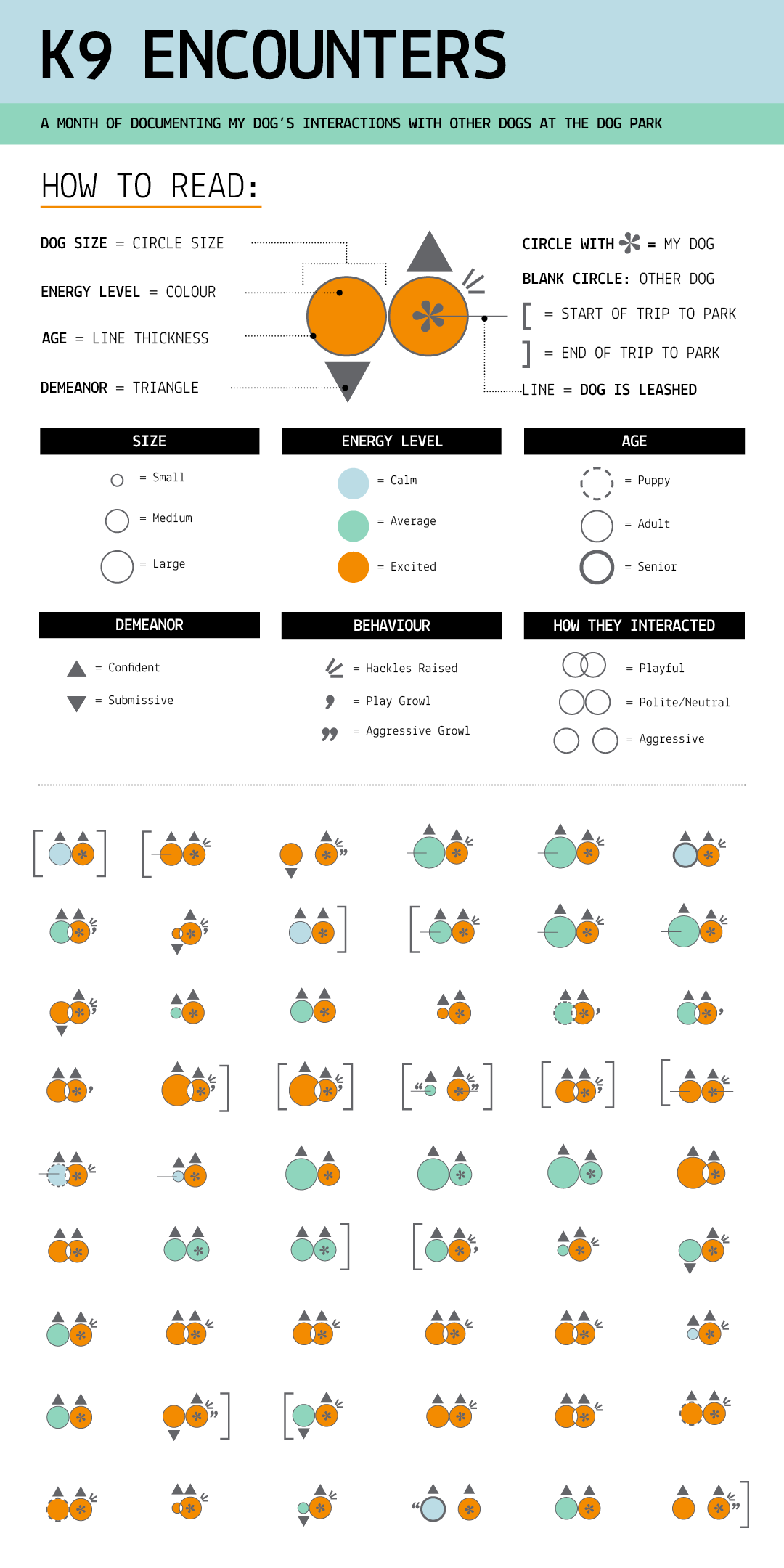 Dog Encounters_Infograph.png