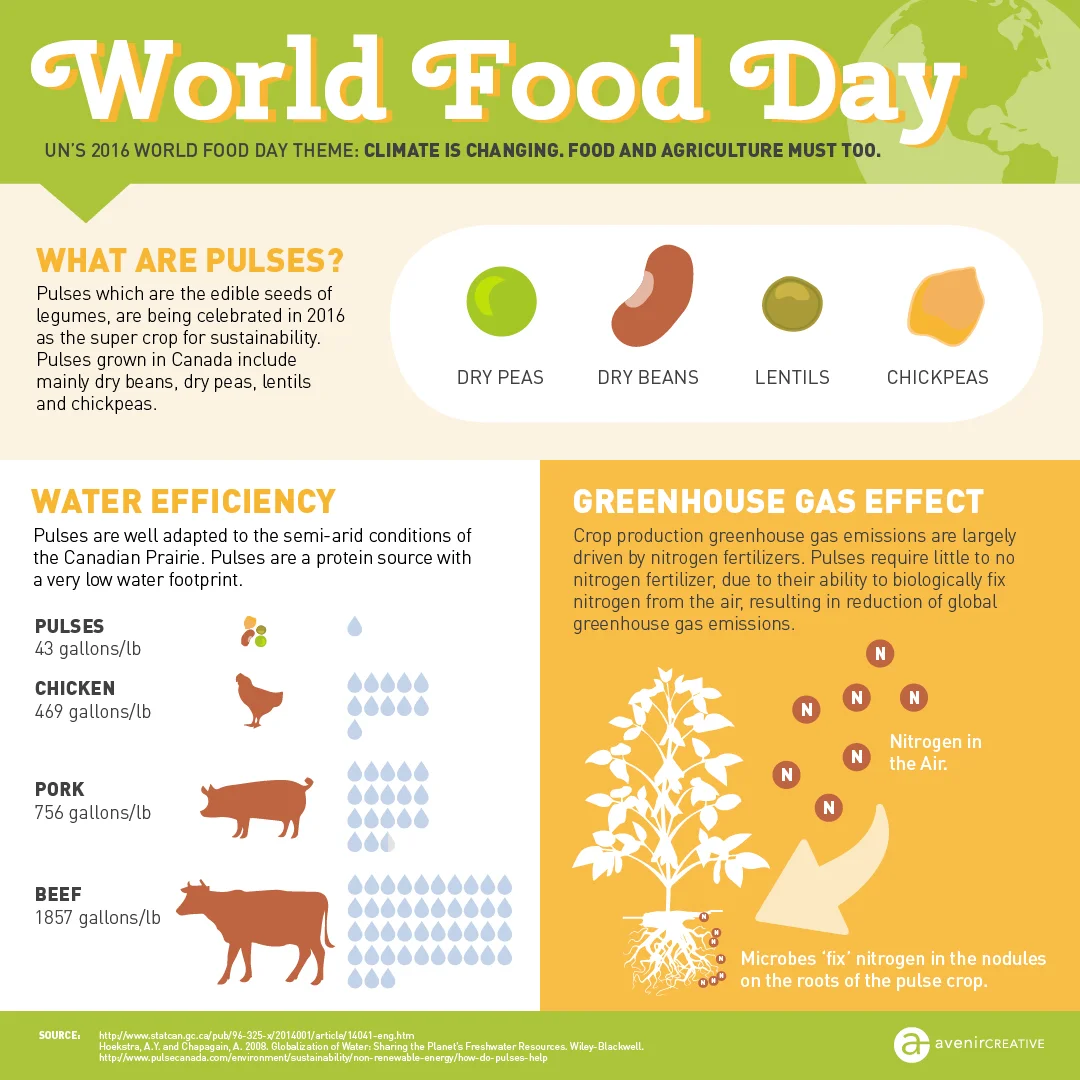 Avenircreative-World-Food-Day .jpg