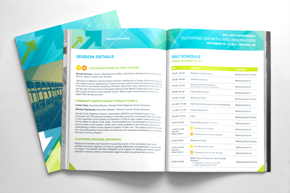 AVIP Program Mock Up.jpg