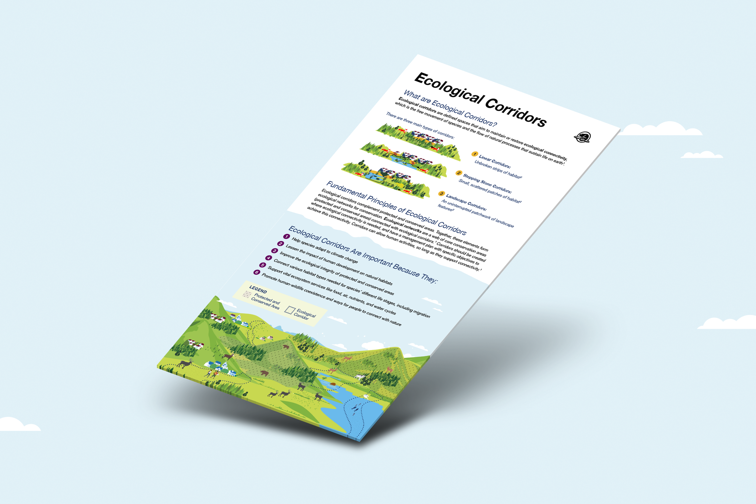 Ecological Corridors_Infograph.png