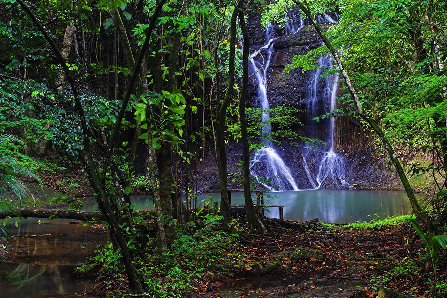 st_Lucia-la-tille-waterfall.jpg
