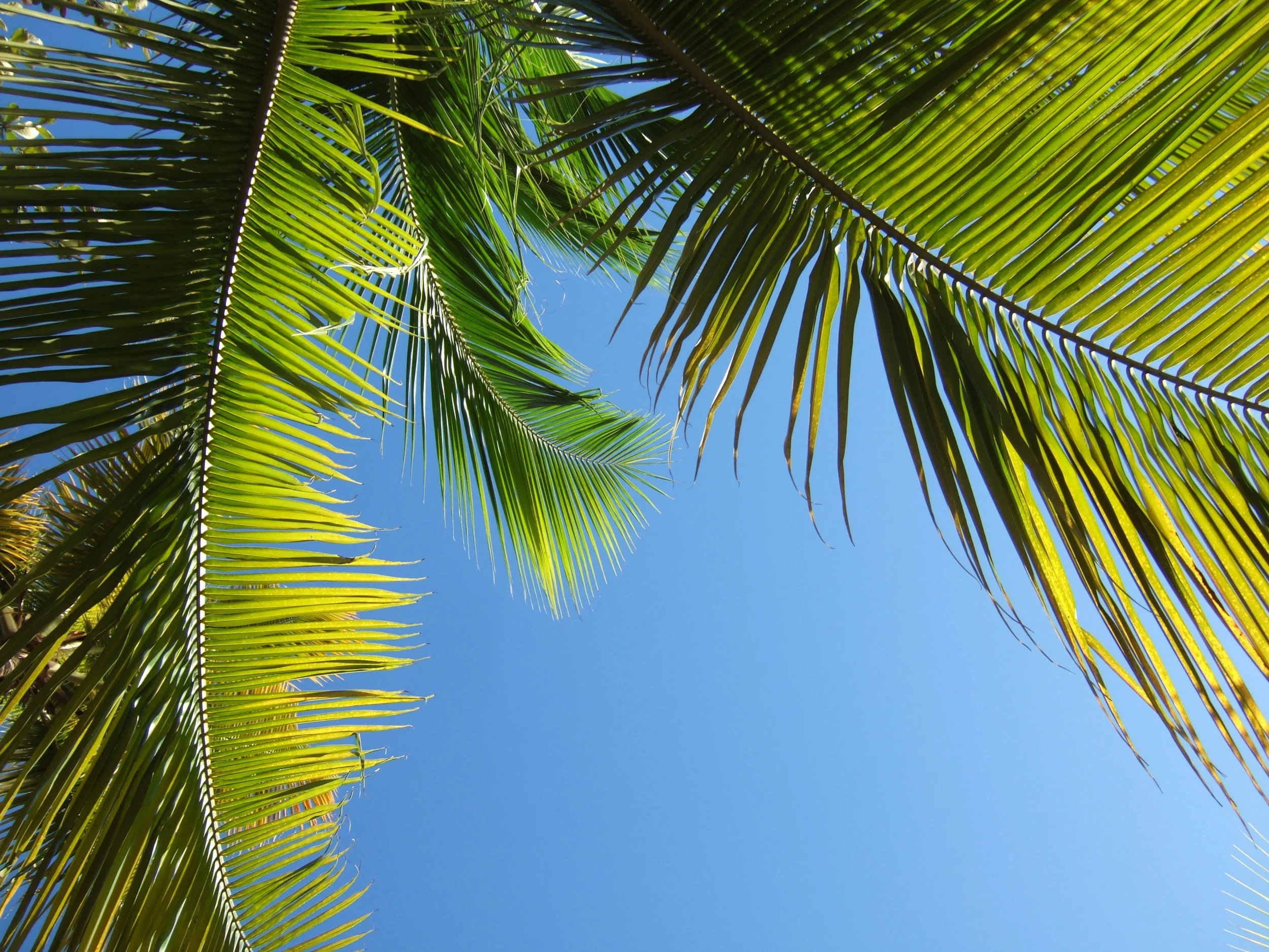 saint-lucia-1168808.jpg
