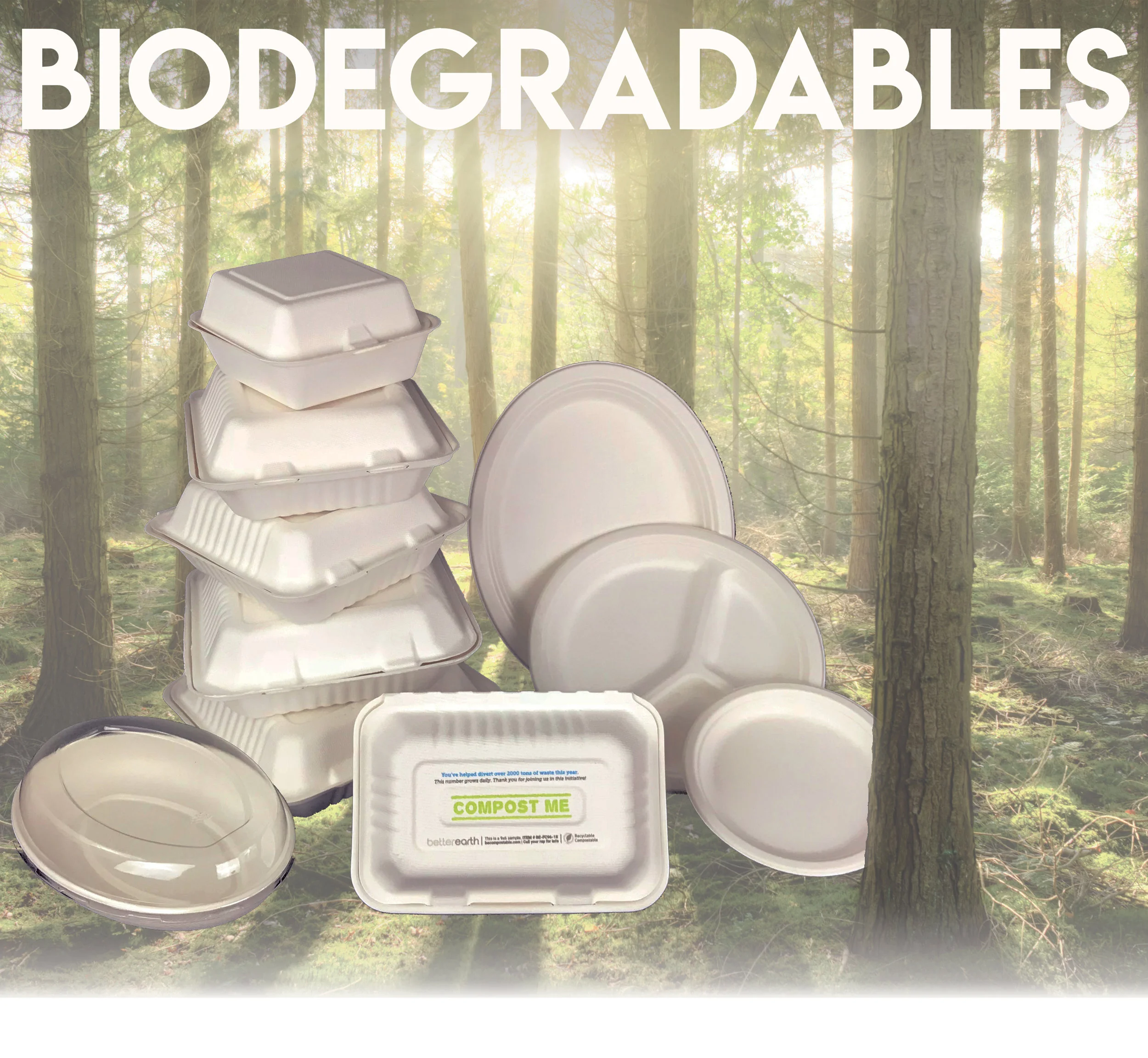 biodegradablesimageonly.jpg