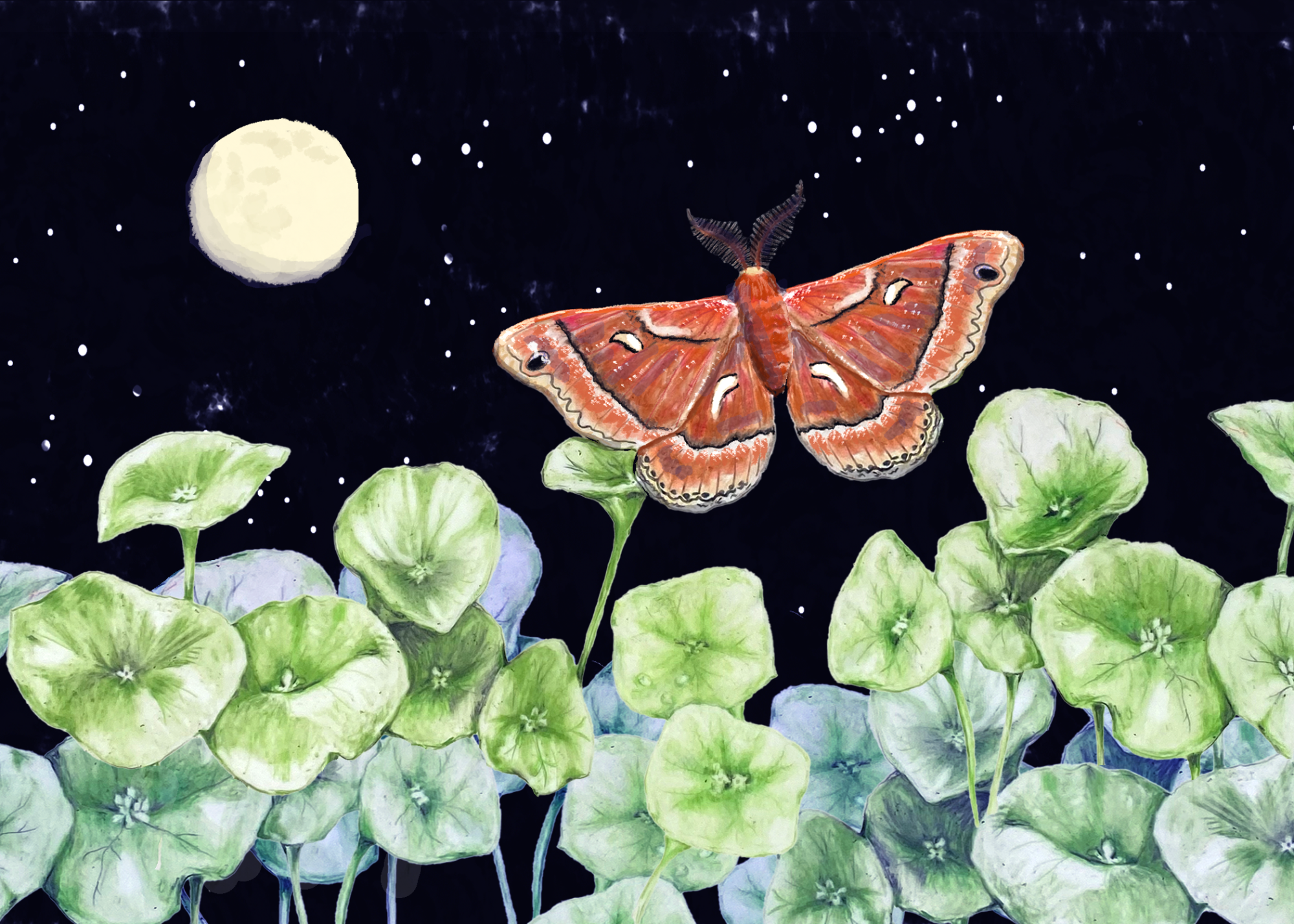 Spring night.png