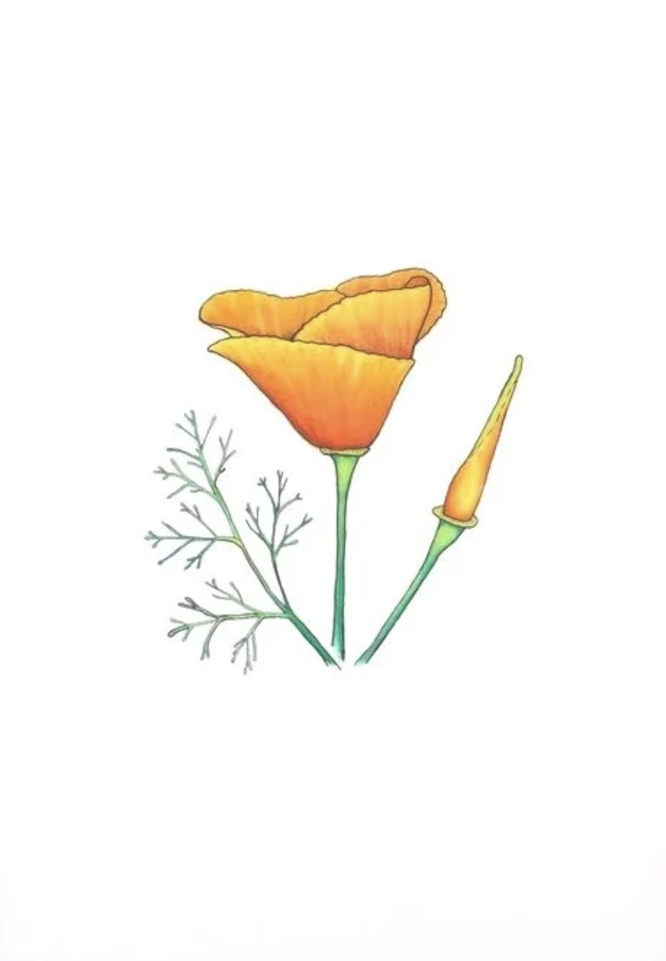 Screenshot 2026-01-12 at 12.54.27 PM.png