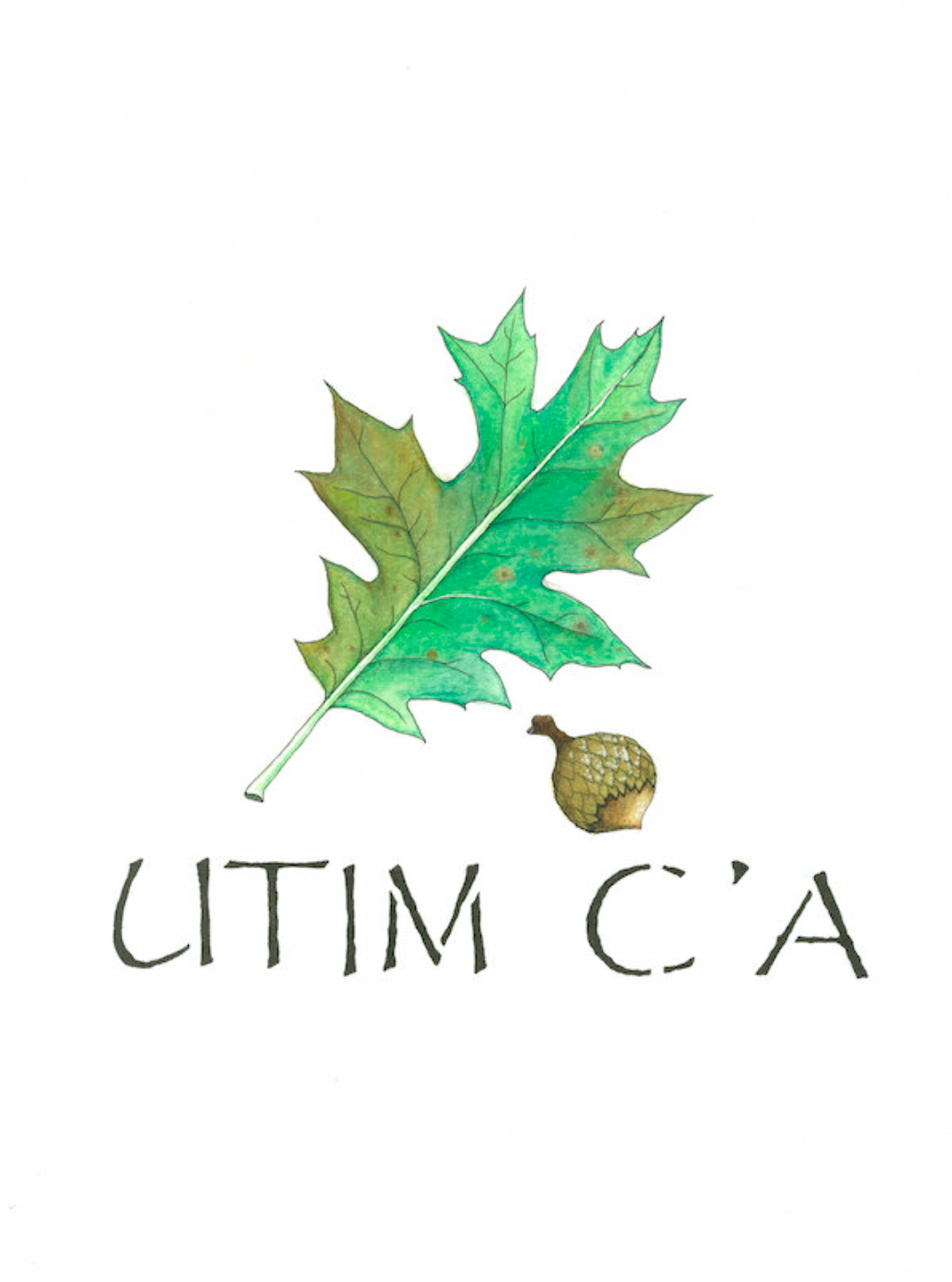 utim c'a.png
