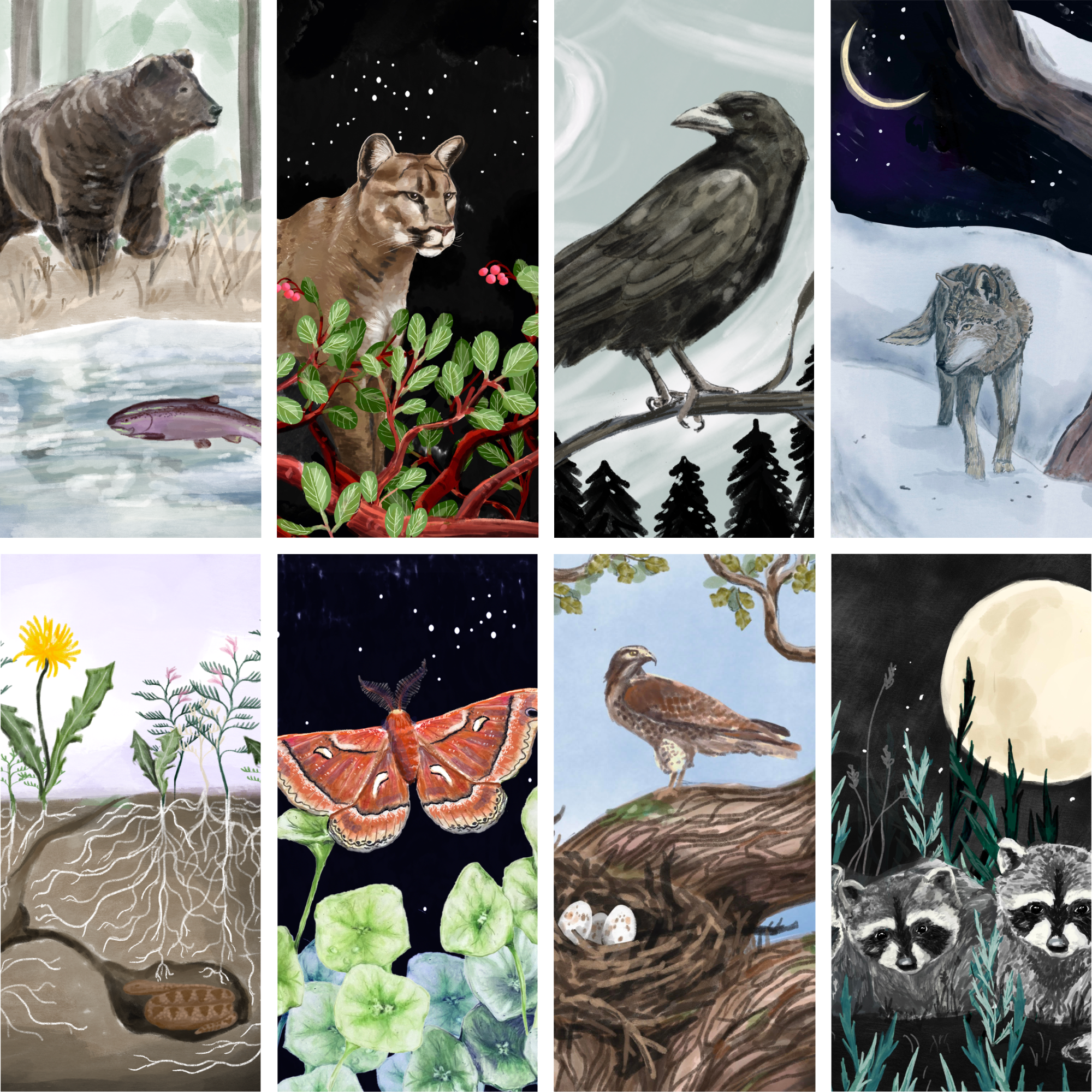 chirp store  product images.png