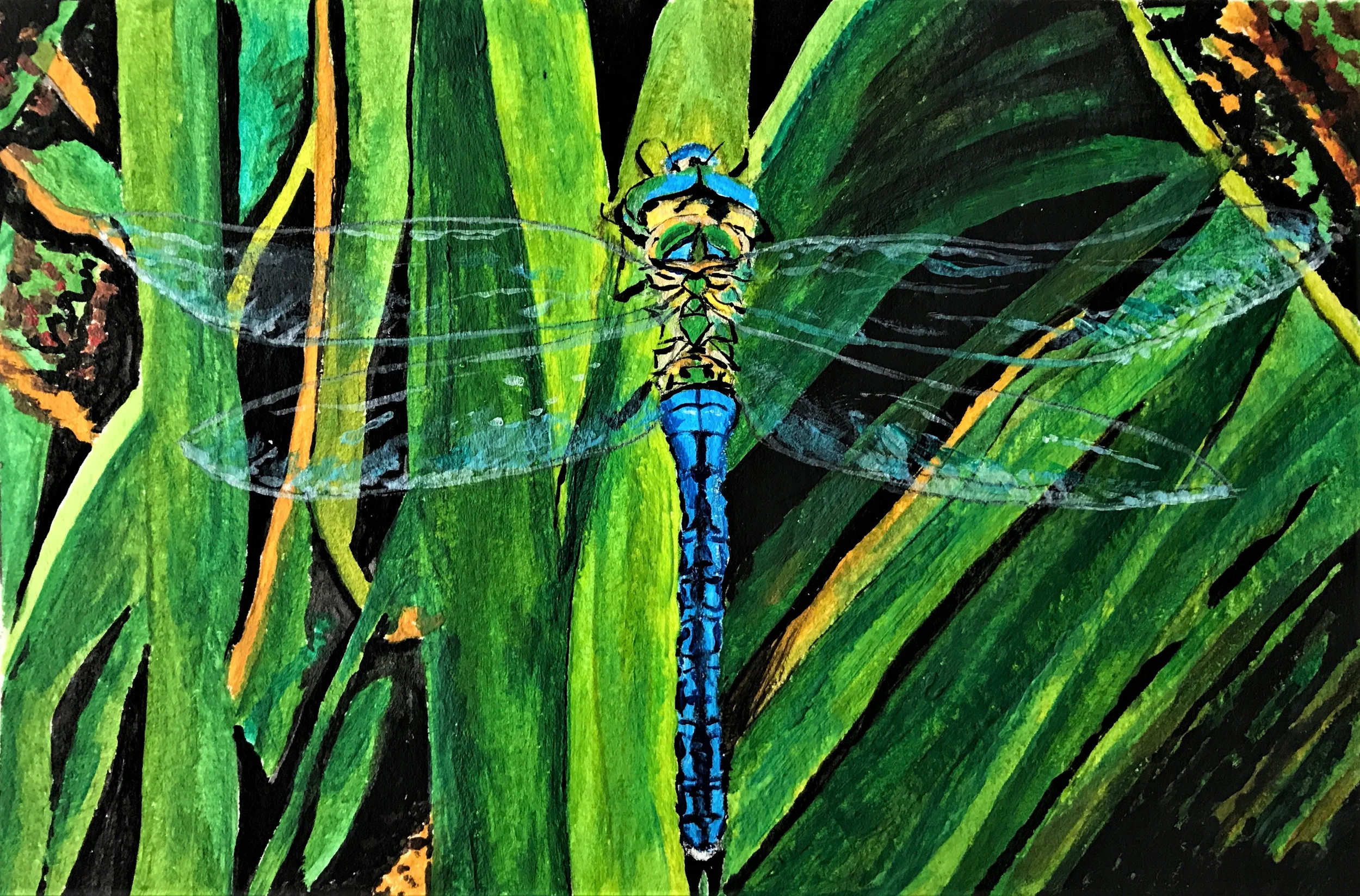 Dragonfly
