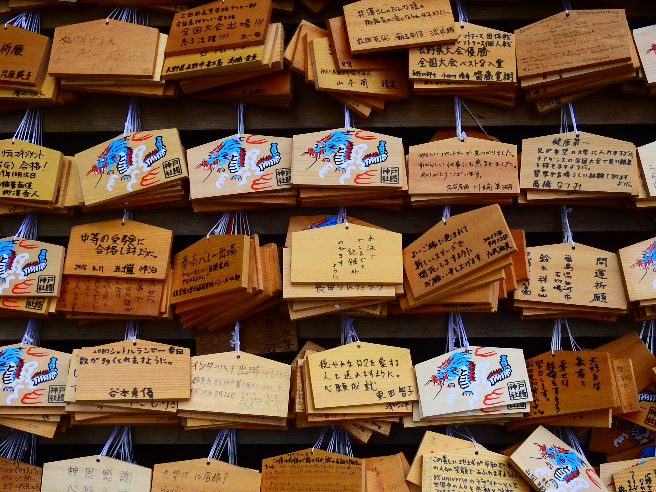 DSCN9333.JPG