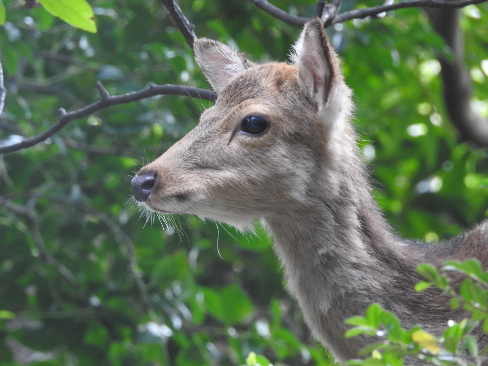 DSCN3126.JPG