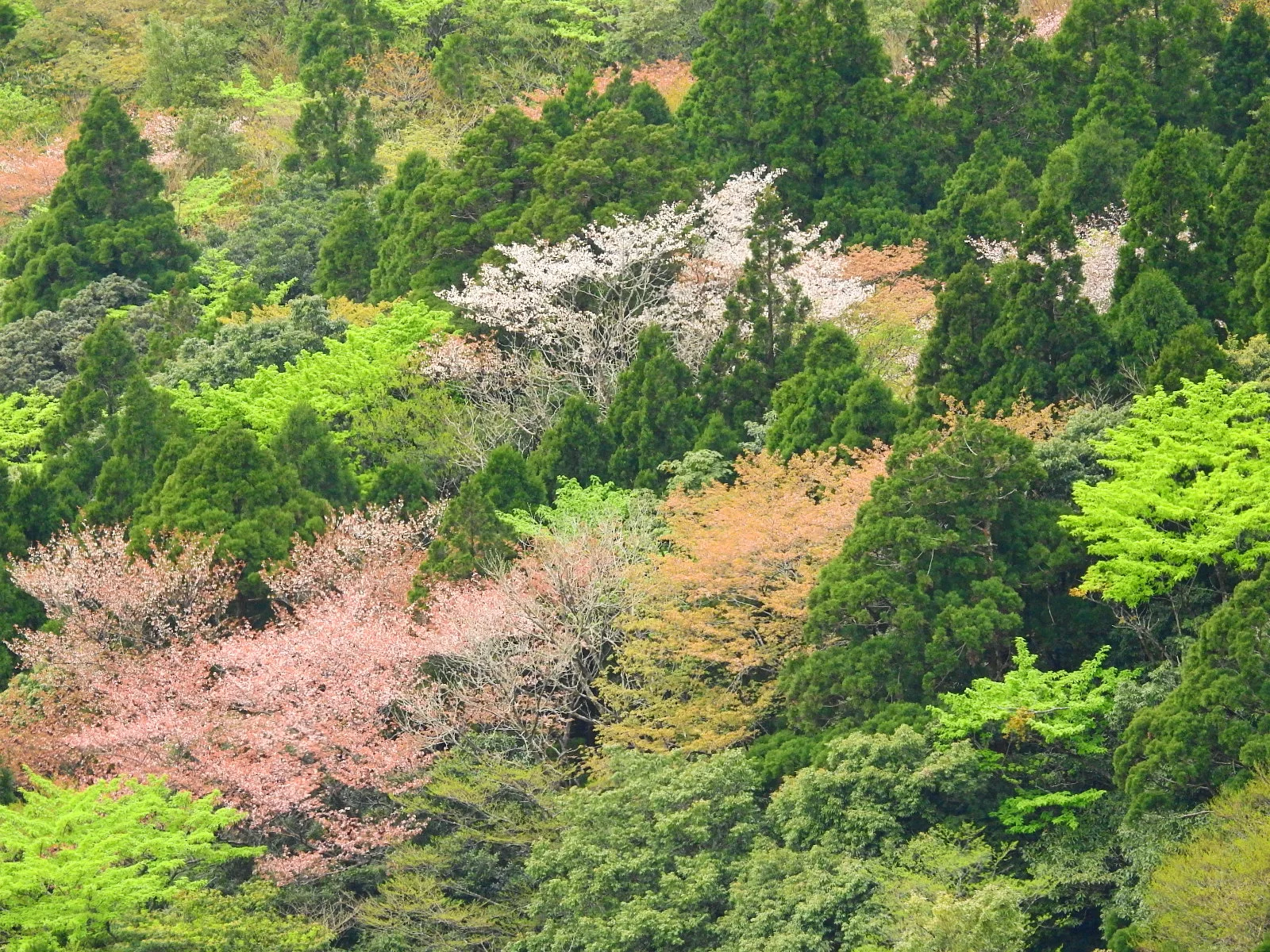 DSCN3403.JPG