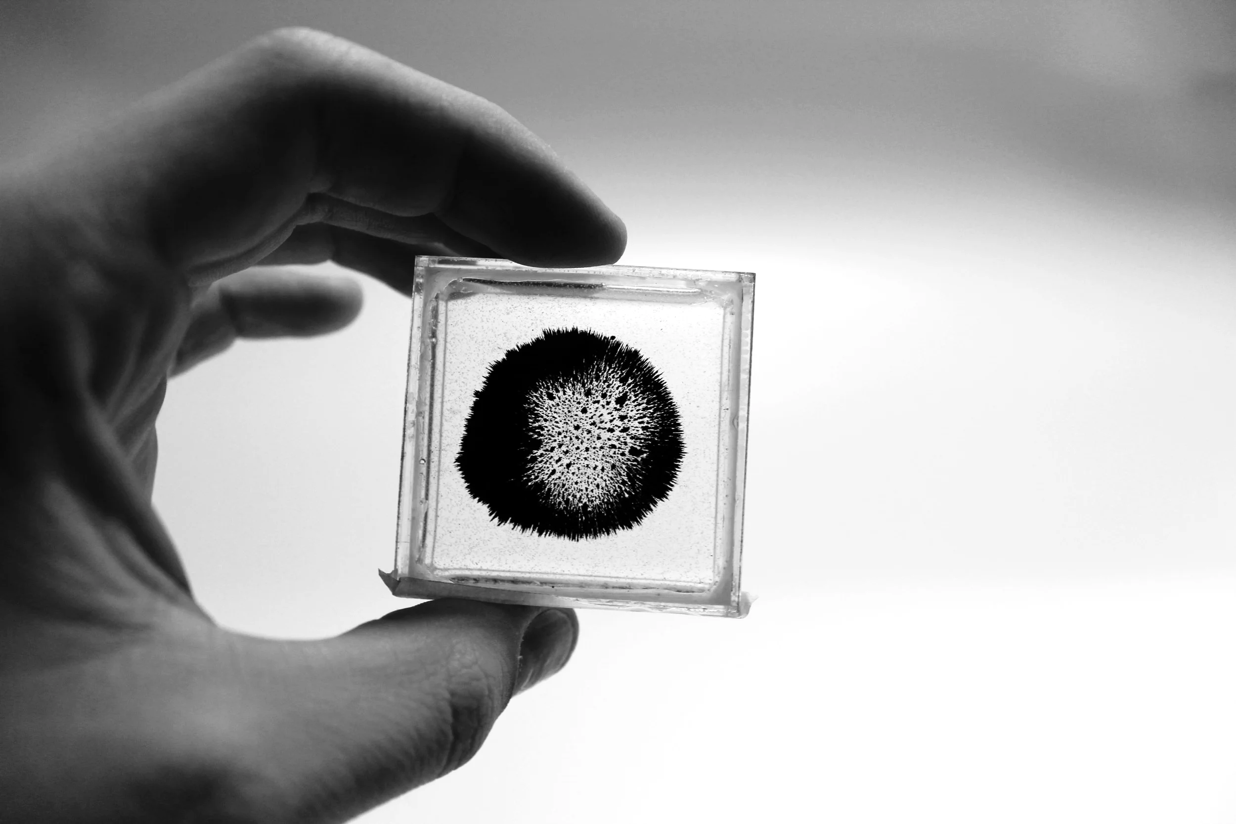 Resin & Filings_Open_Top.jpg