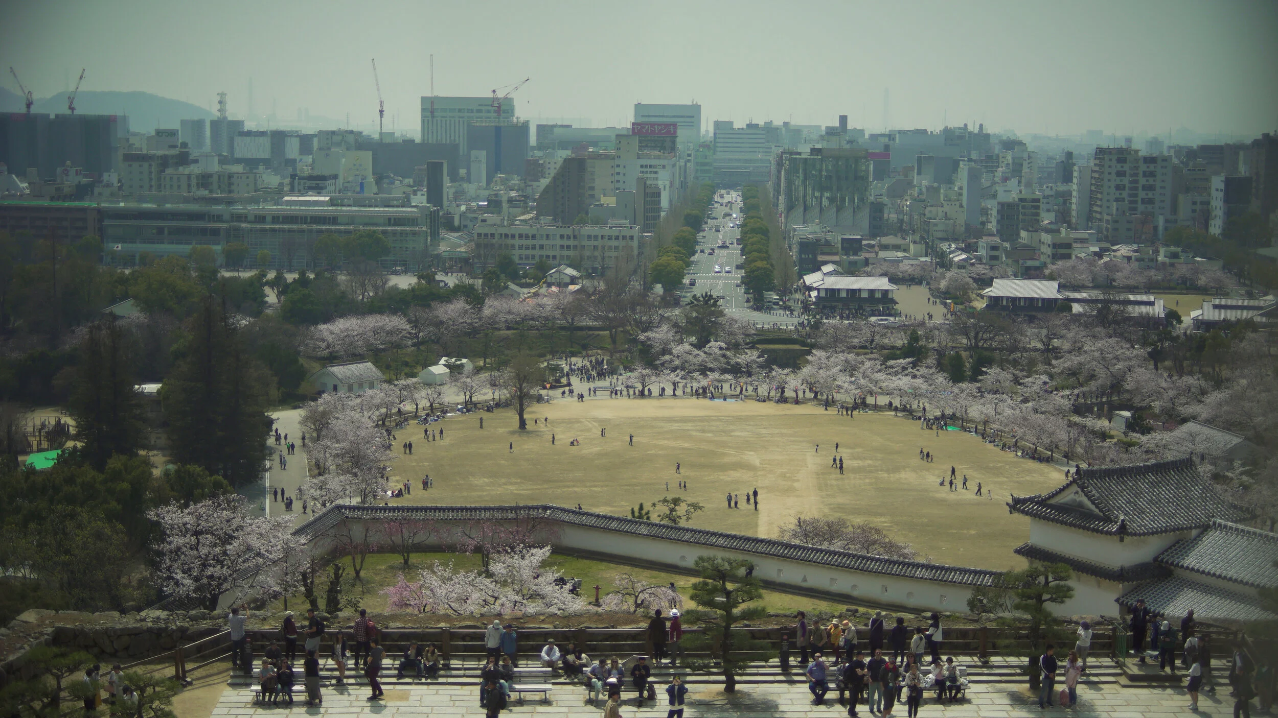 High Views 1.jpg
