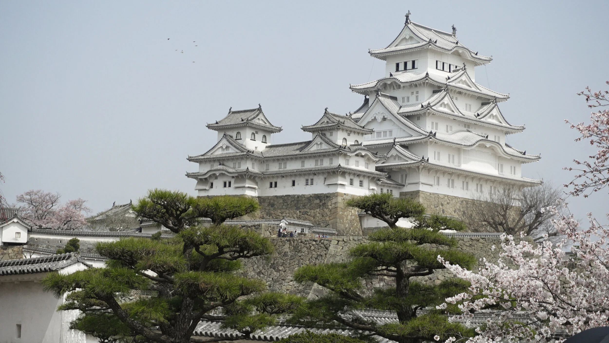 Scenery 5.jpg