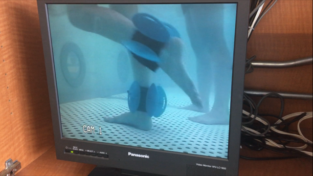 NEUROREHAB blog - gait training.png