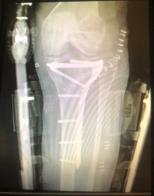 image2.jpeg