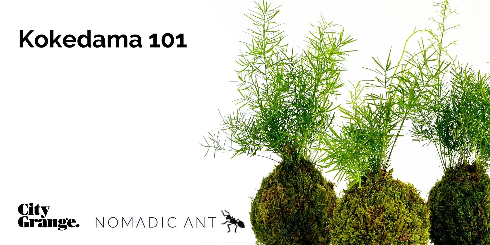 Kokedama 101 (co-hosted with City Grange)