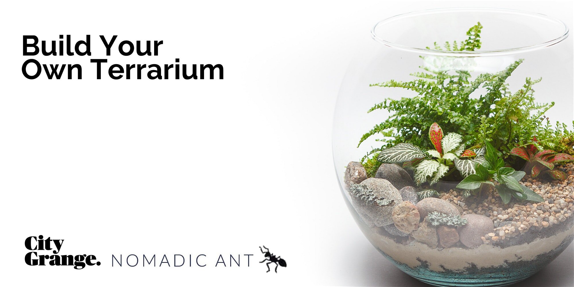 Build Your Own Terrarium! (co-hosted with City Grange)