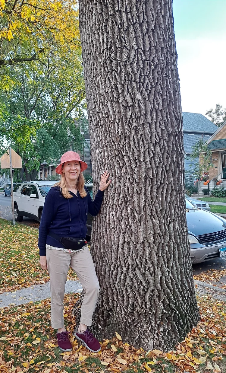 Save Your Ash: Protect Local Trees From Emerald Ash Borer — Heart of ...