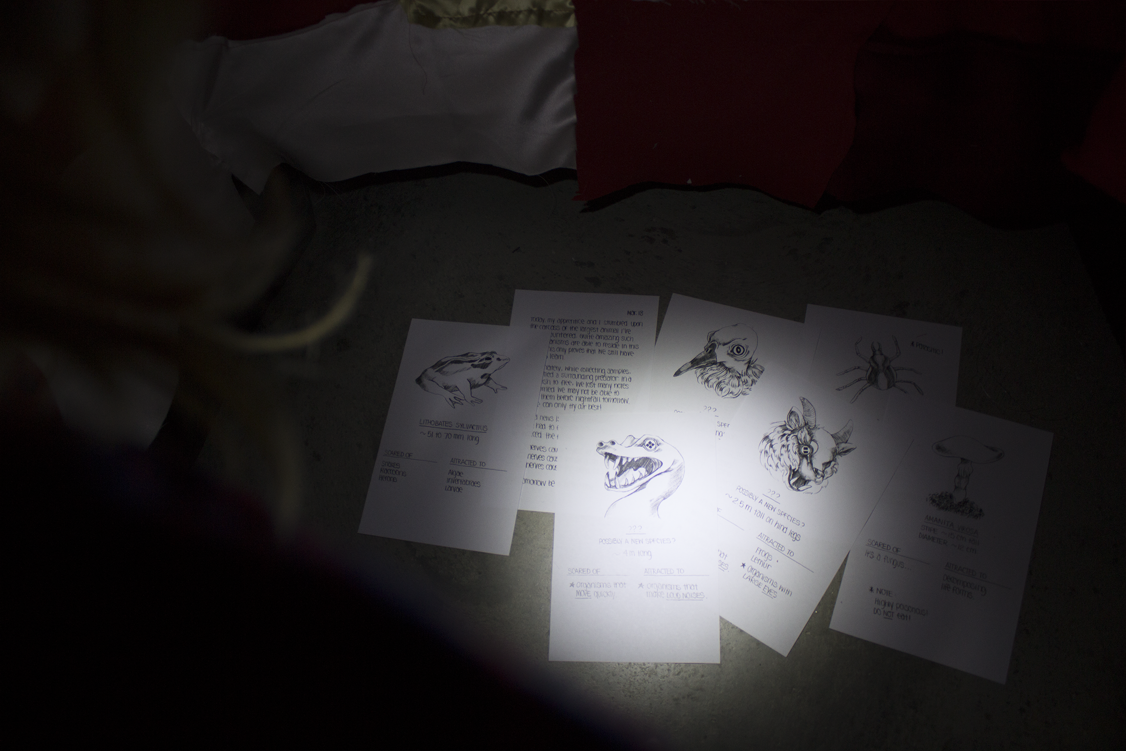 Photo_notes.png