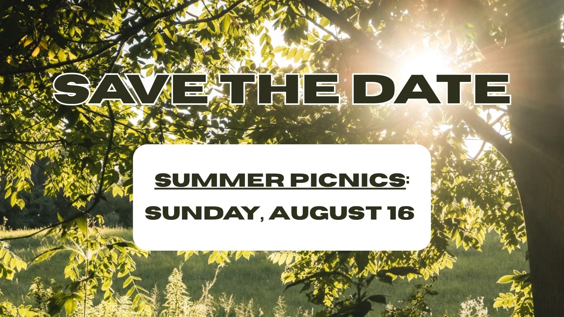 2026 Summer Picnics.jpg