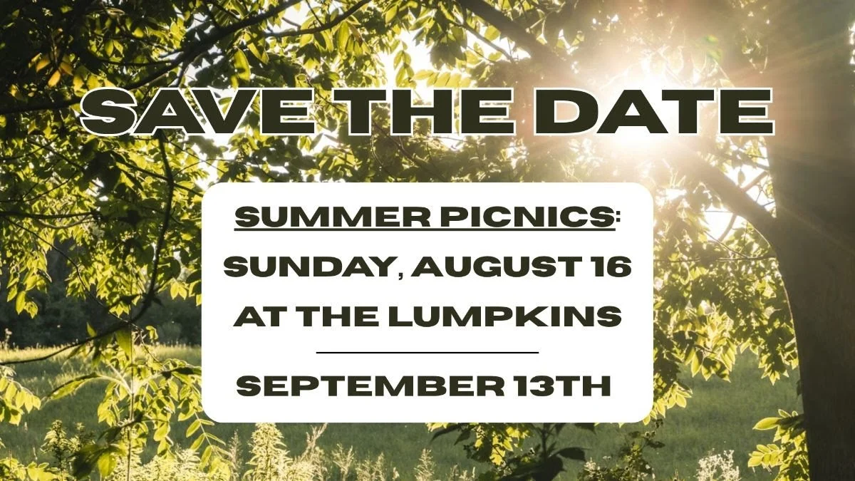 picnics.jpg