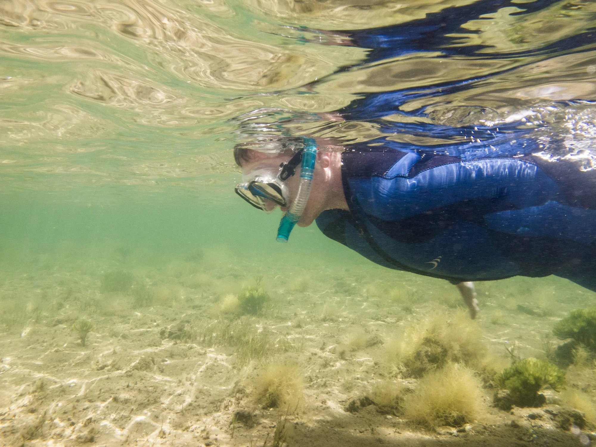 FWW-Ryan-snorkeling.jpg