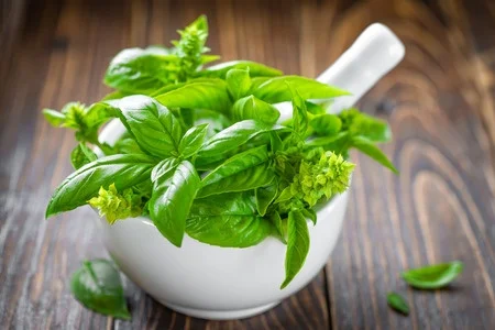 Grow Your Own Herbs and Reap the Health Benefits