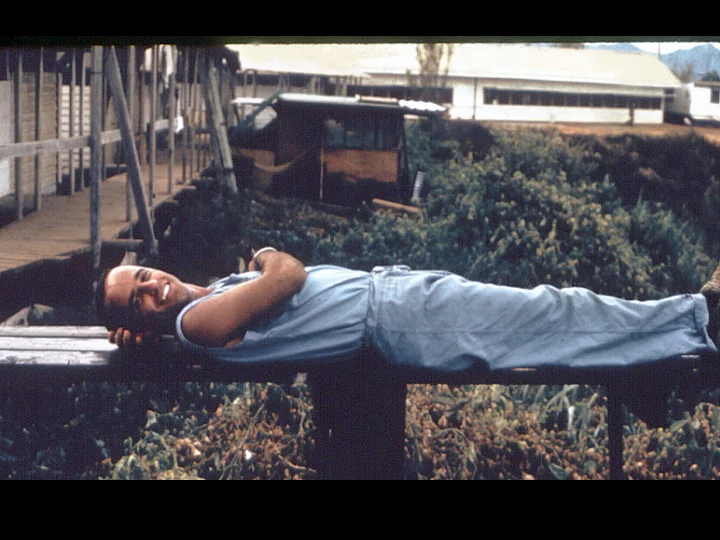 Images Dr. Young Presentation.083.jpeg