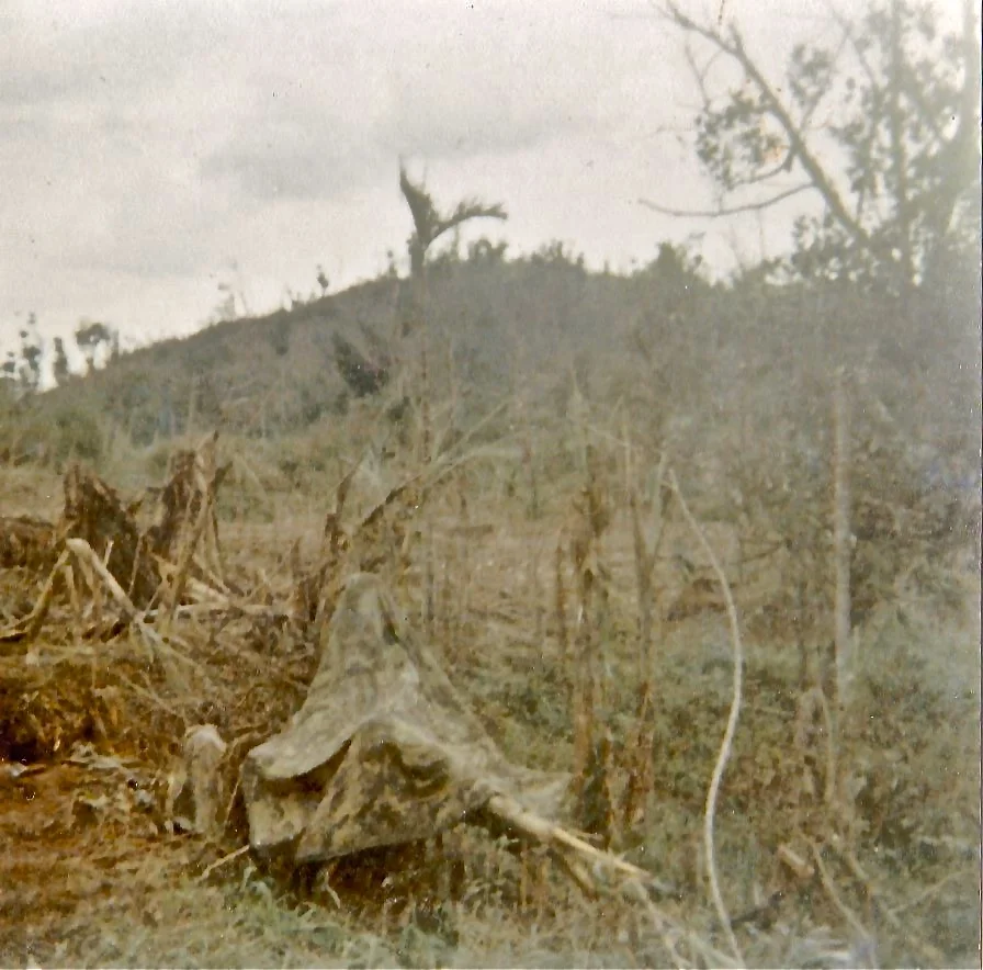 Paulson_s Pancho Liner Perforated with Shrapnel.jpg