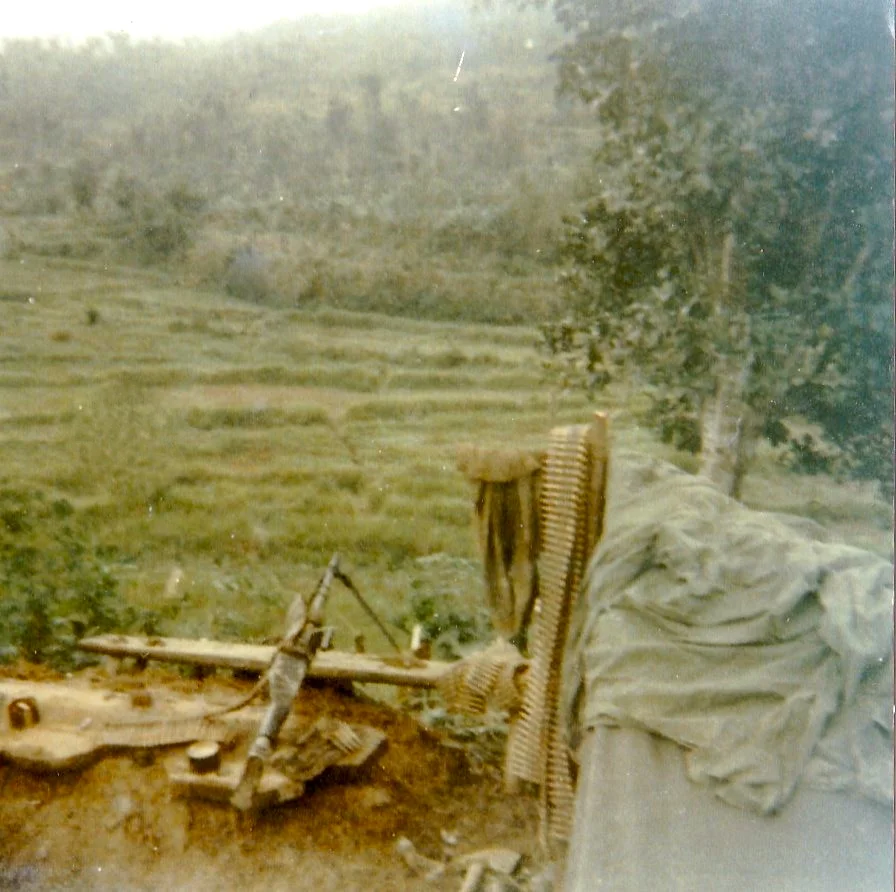 Targeted Gun Position.jpg