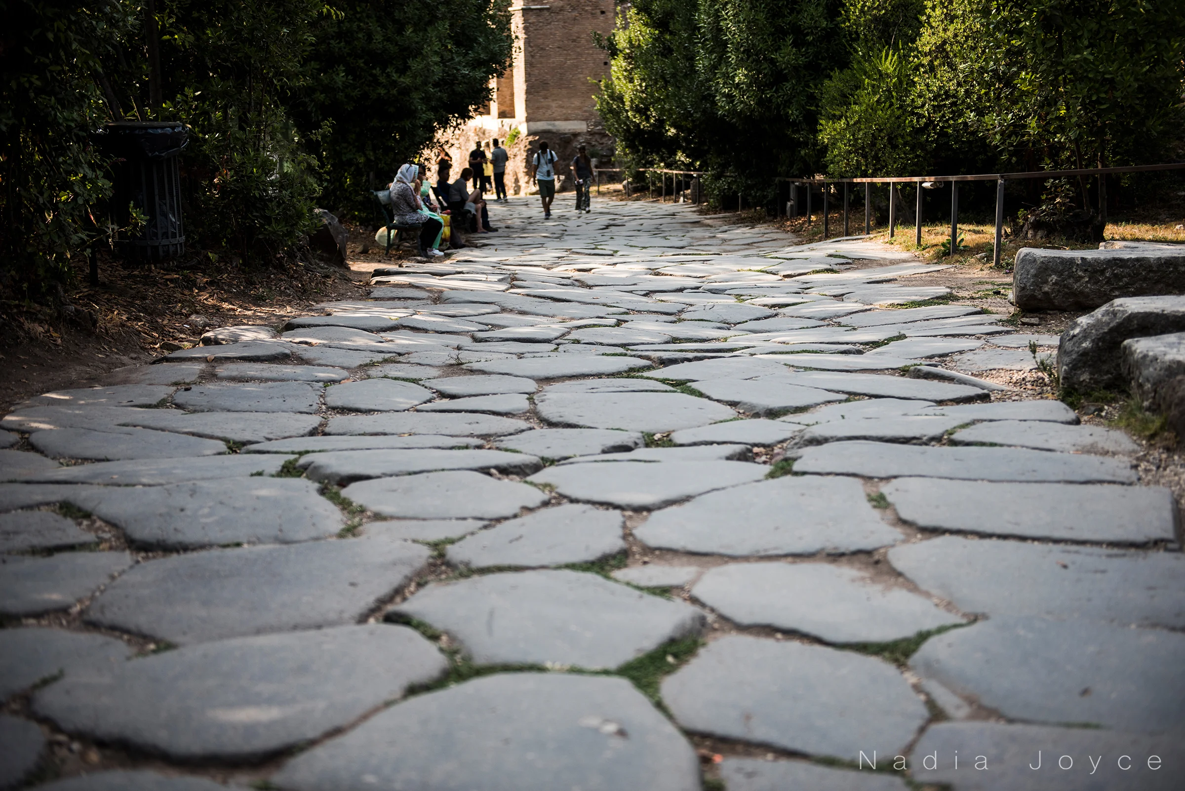 These are the original stone steps leading into the Roman Forum. The cracks used to be tightly knit, but have slowly become worn and spread due to years and years of wear.