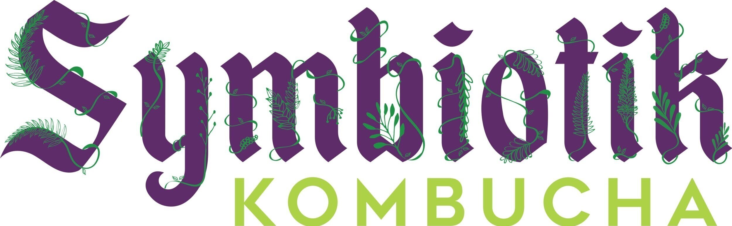 Symbiotik Kombucha