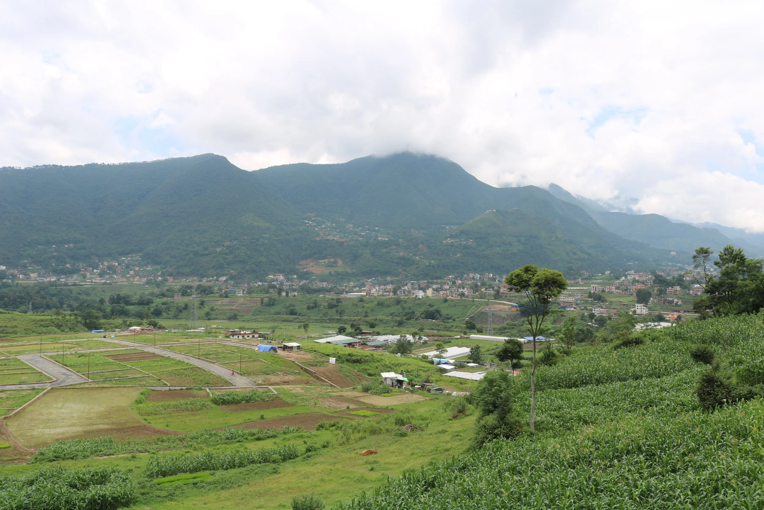 SRM Expeditions Field Update July 5, 2018