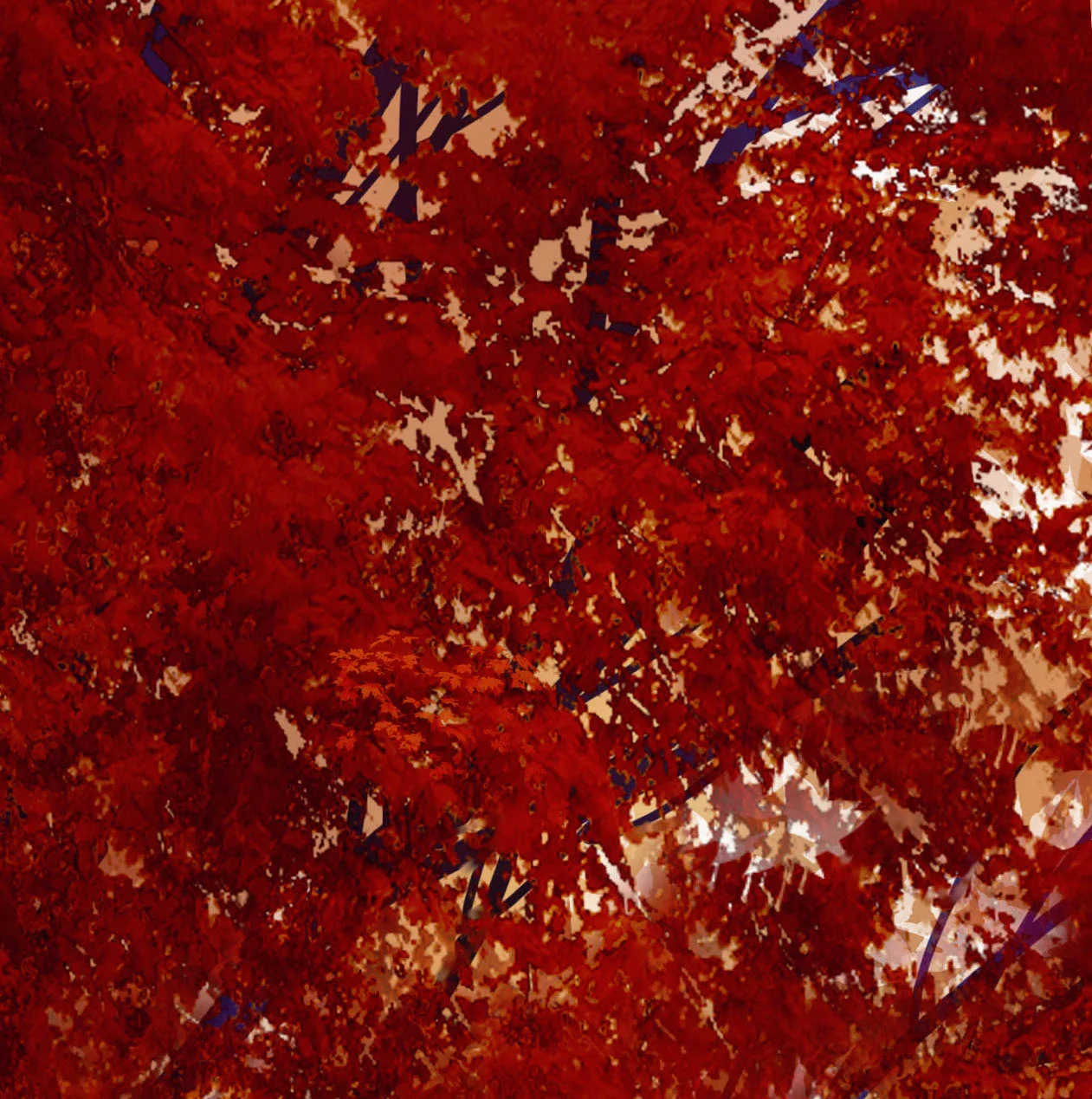 do you make honey_closeup2.jpeg