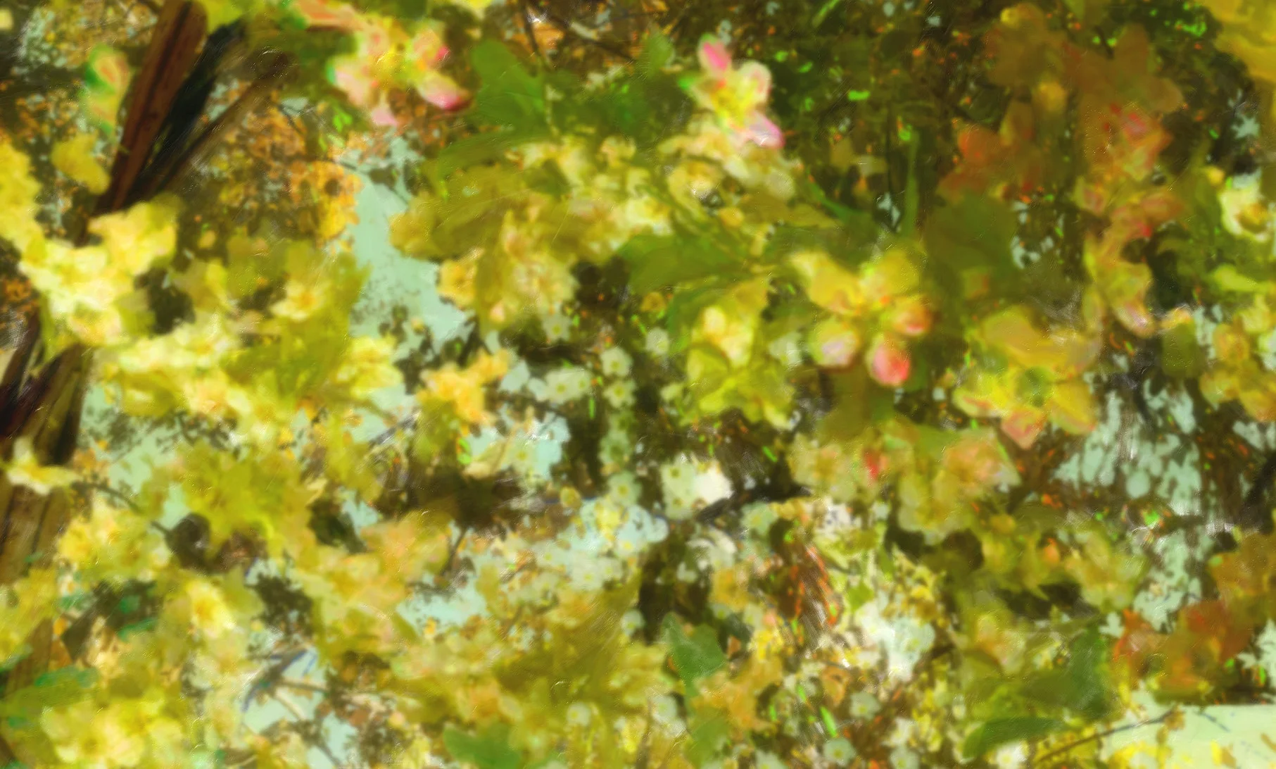 golden hour_closeup2.jpeg