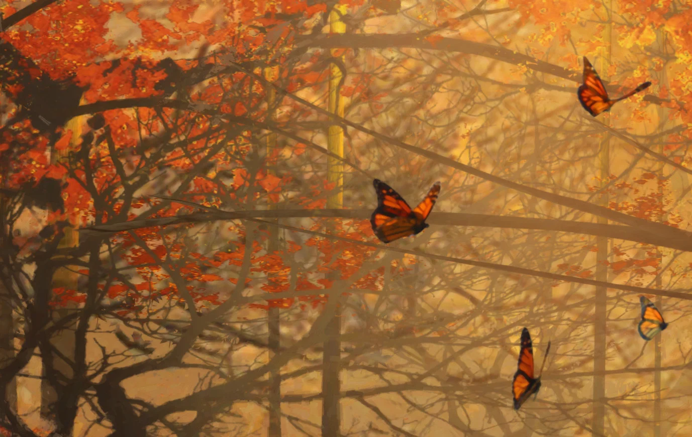 where are you tigger_closeup3.jpeg